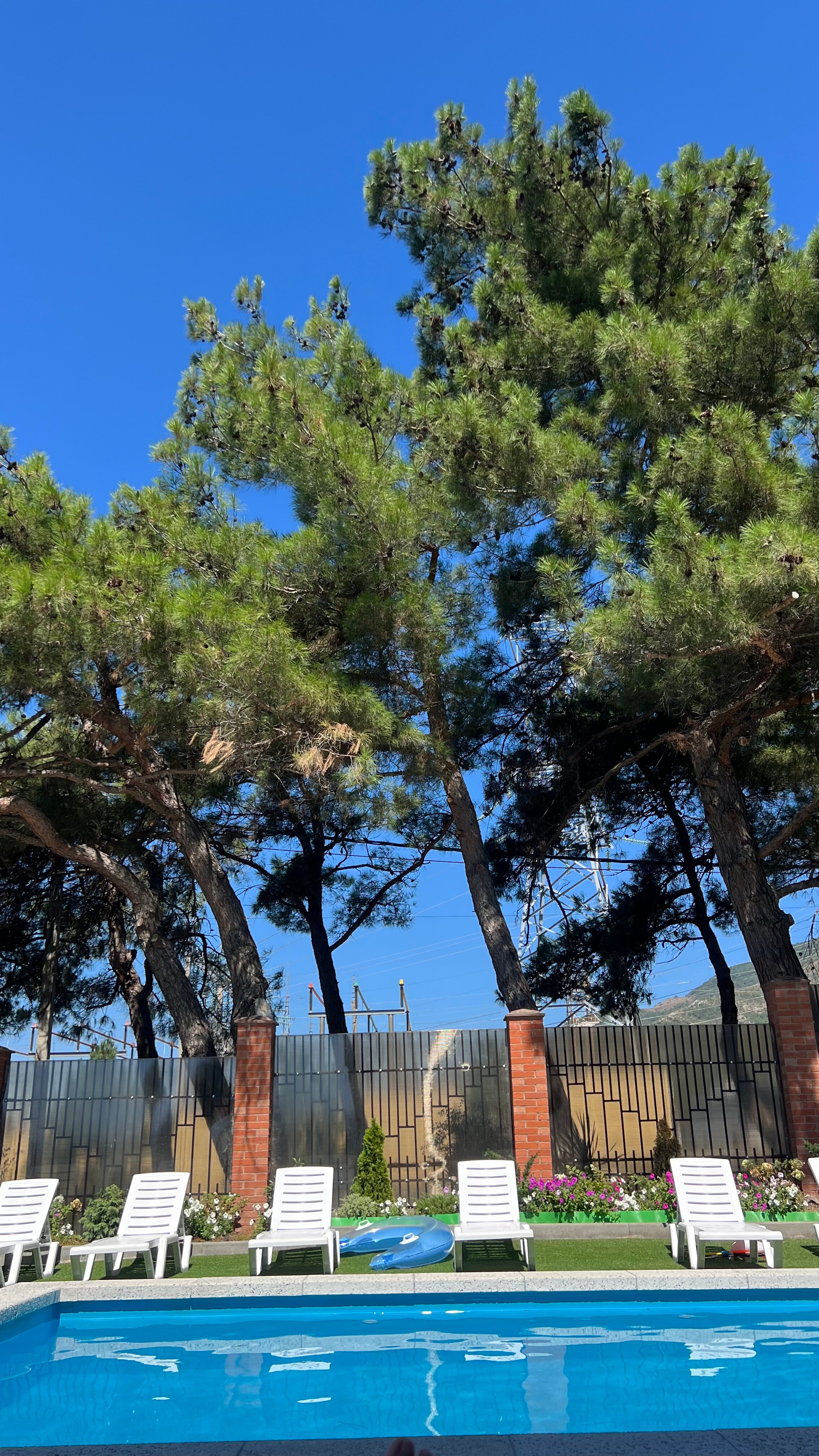 Фото Жемчужина 23