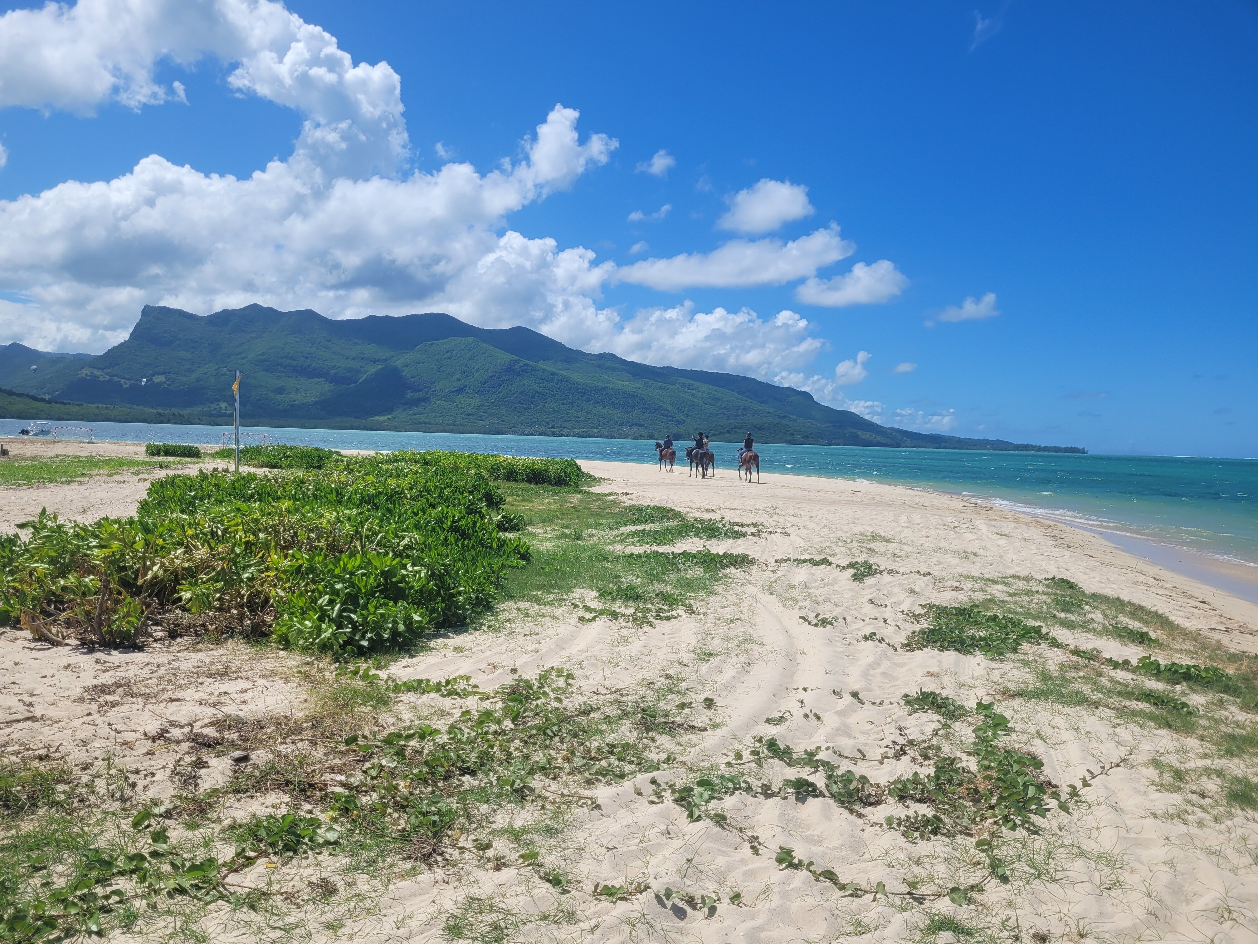 Фото Riu Turquoise