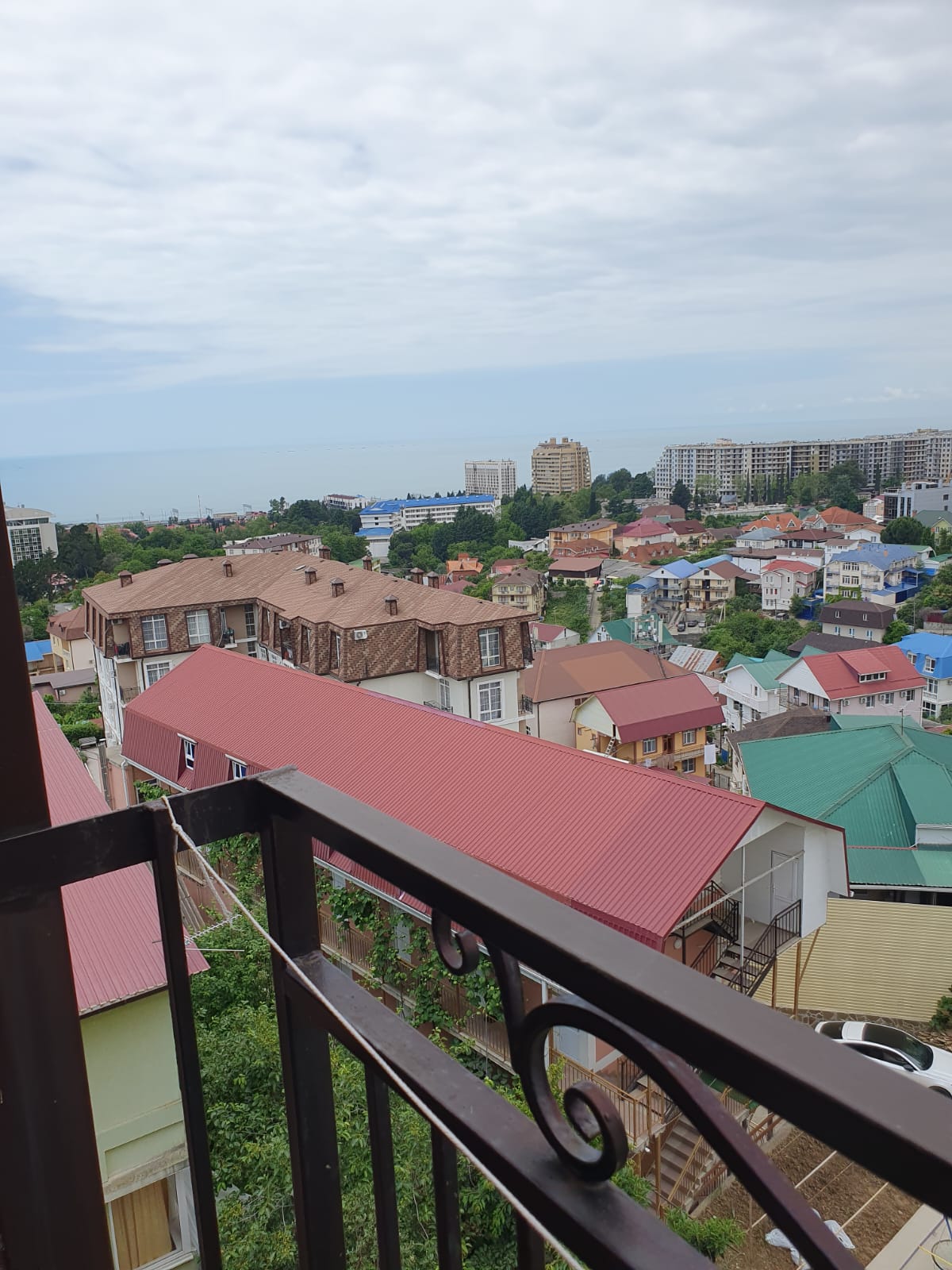 Фото Азалия