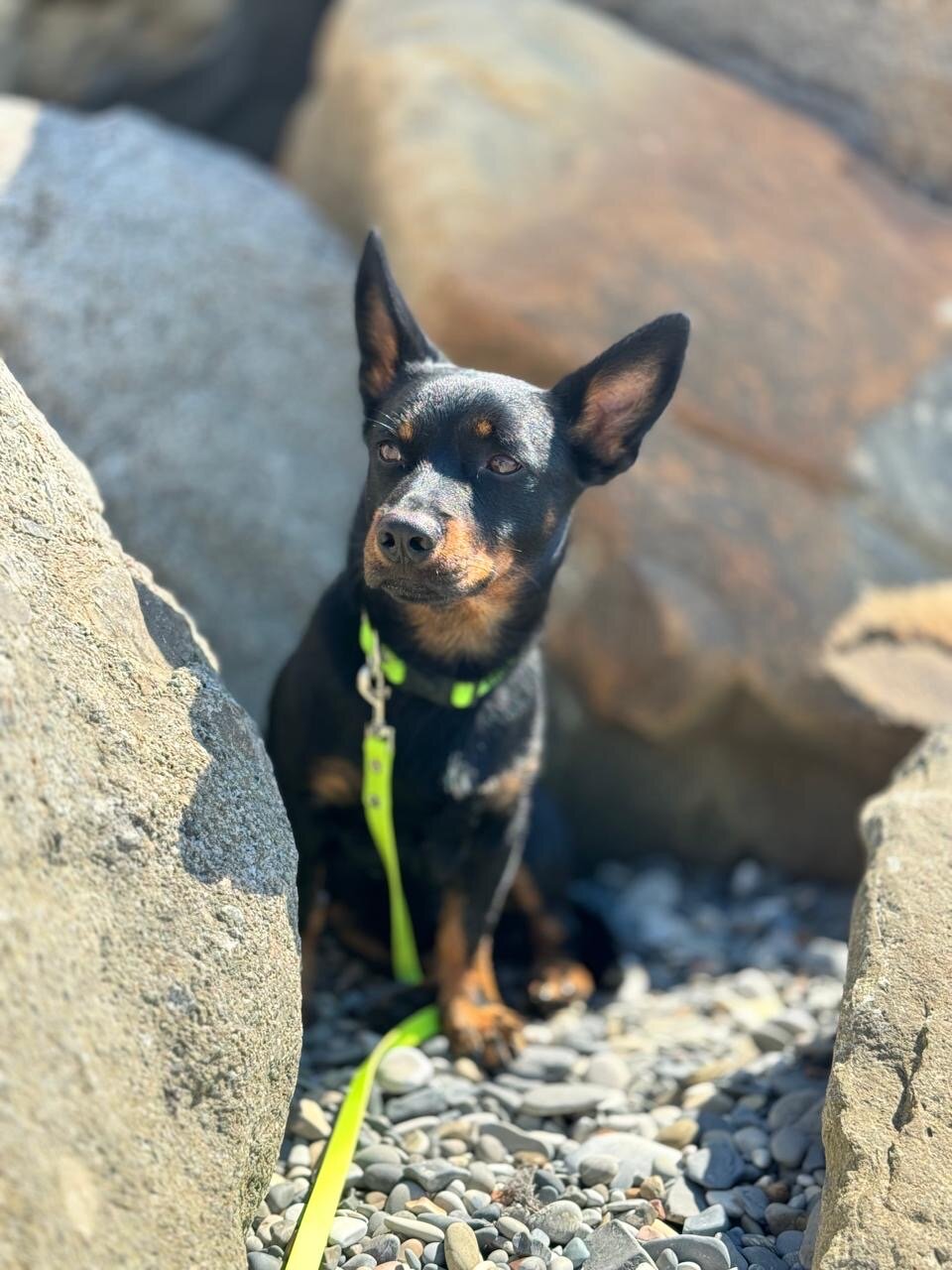 Фото Inal Bay Виктория