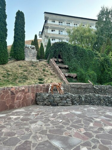 Қыздардың алғашқы жыныстық қатынасын онлайн көру