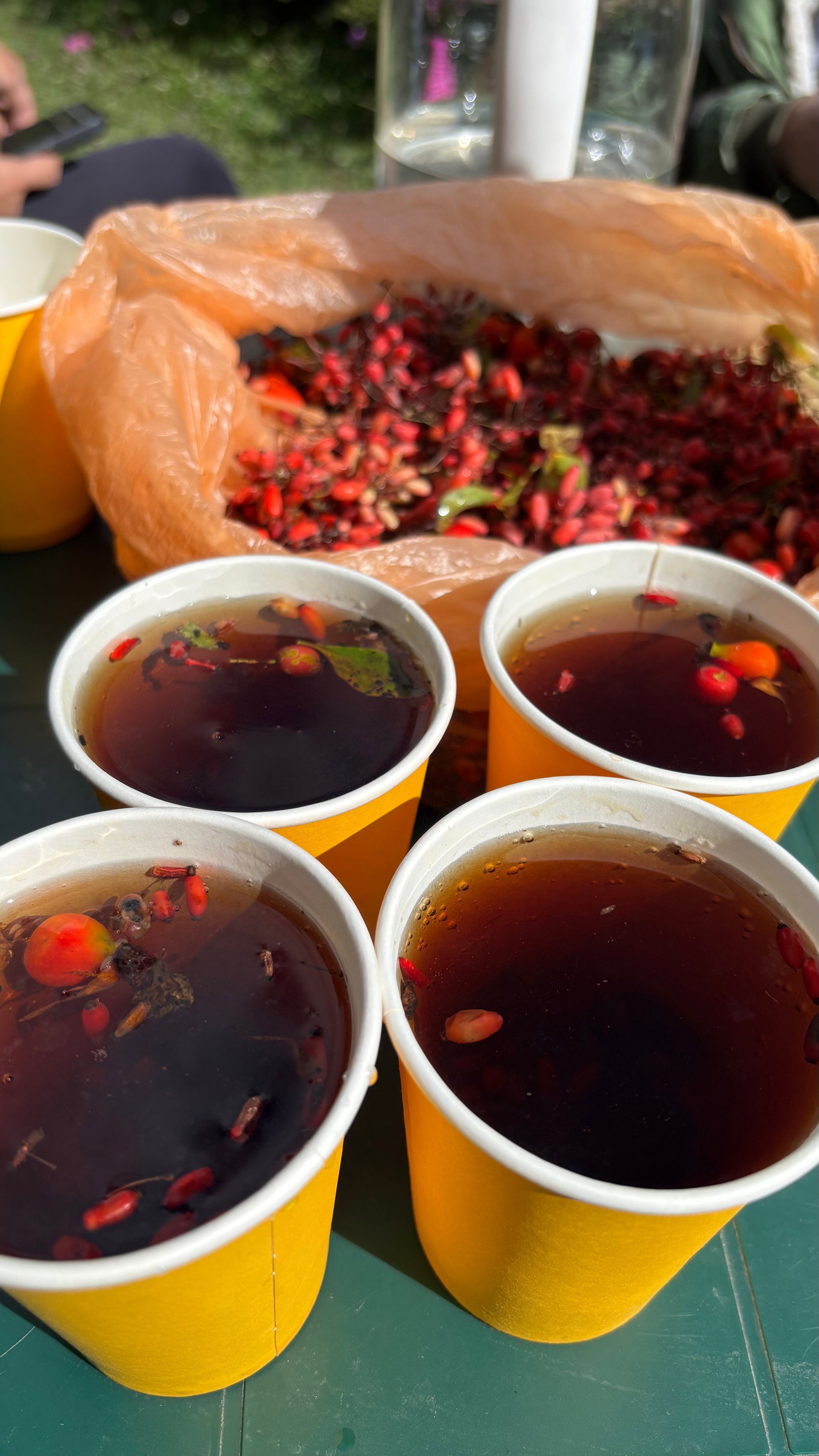 Фото Компас Архыз