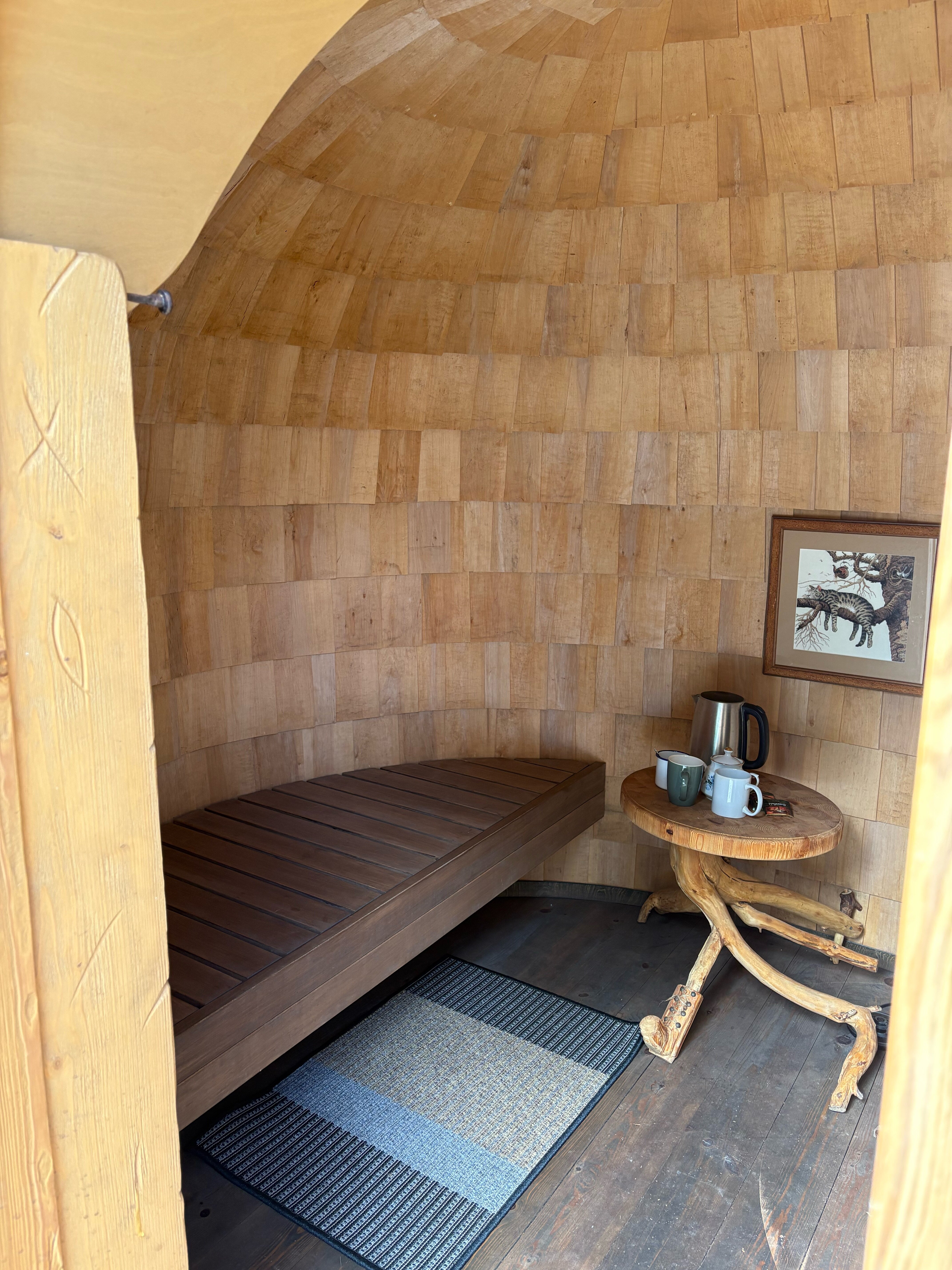 Фото Домики под соснами