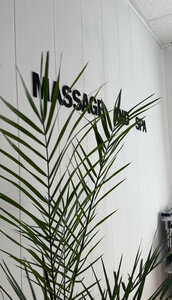 Массажный салон и косметология Ирины Волковой (Sovetskaya ulitsa, 90), massage salon