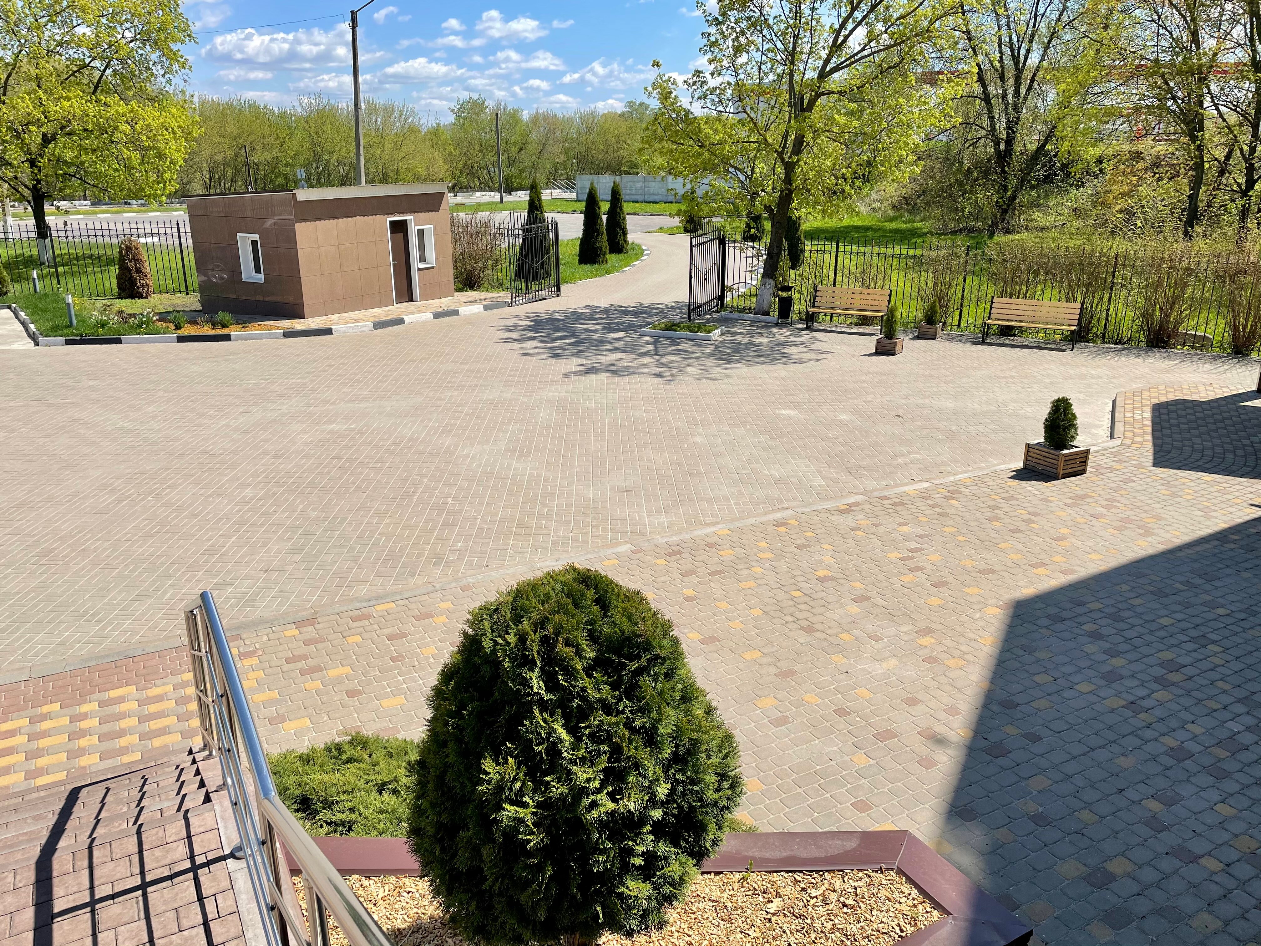 Фото Белые Росы