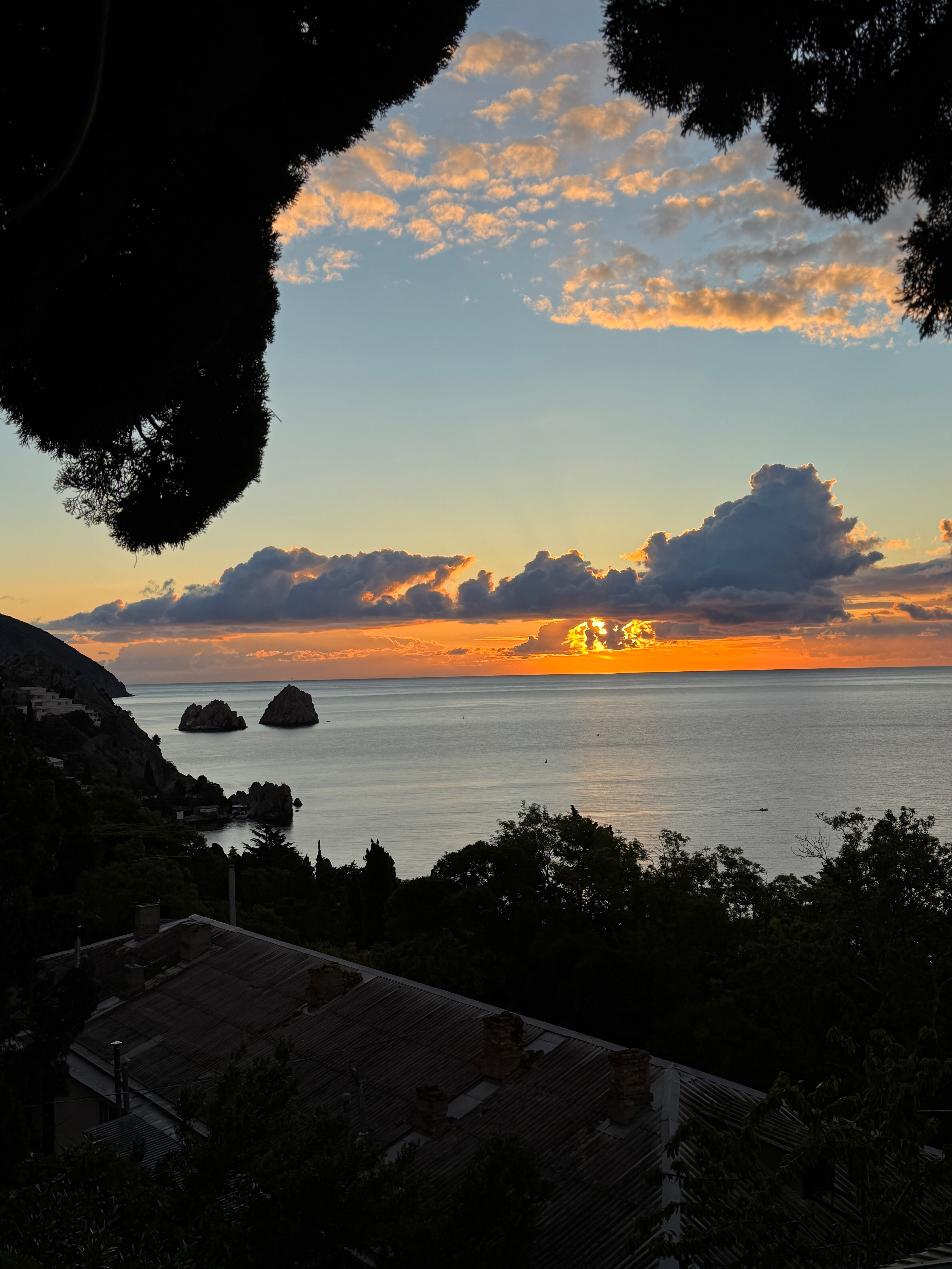 Фото Кипарис