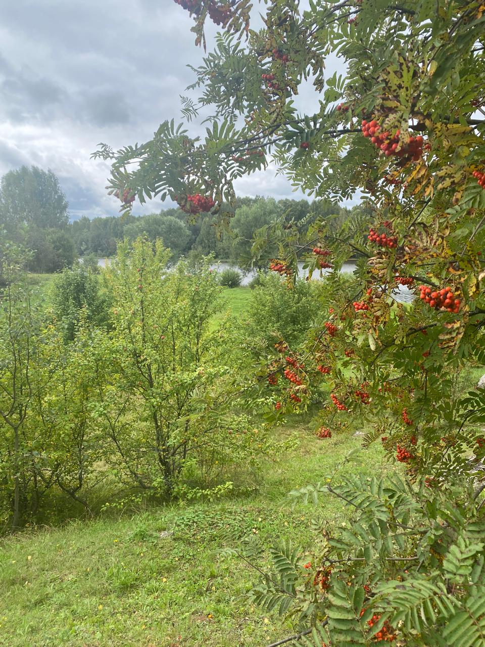 Фото Три холма