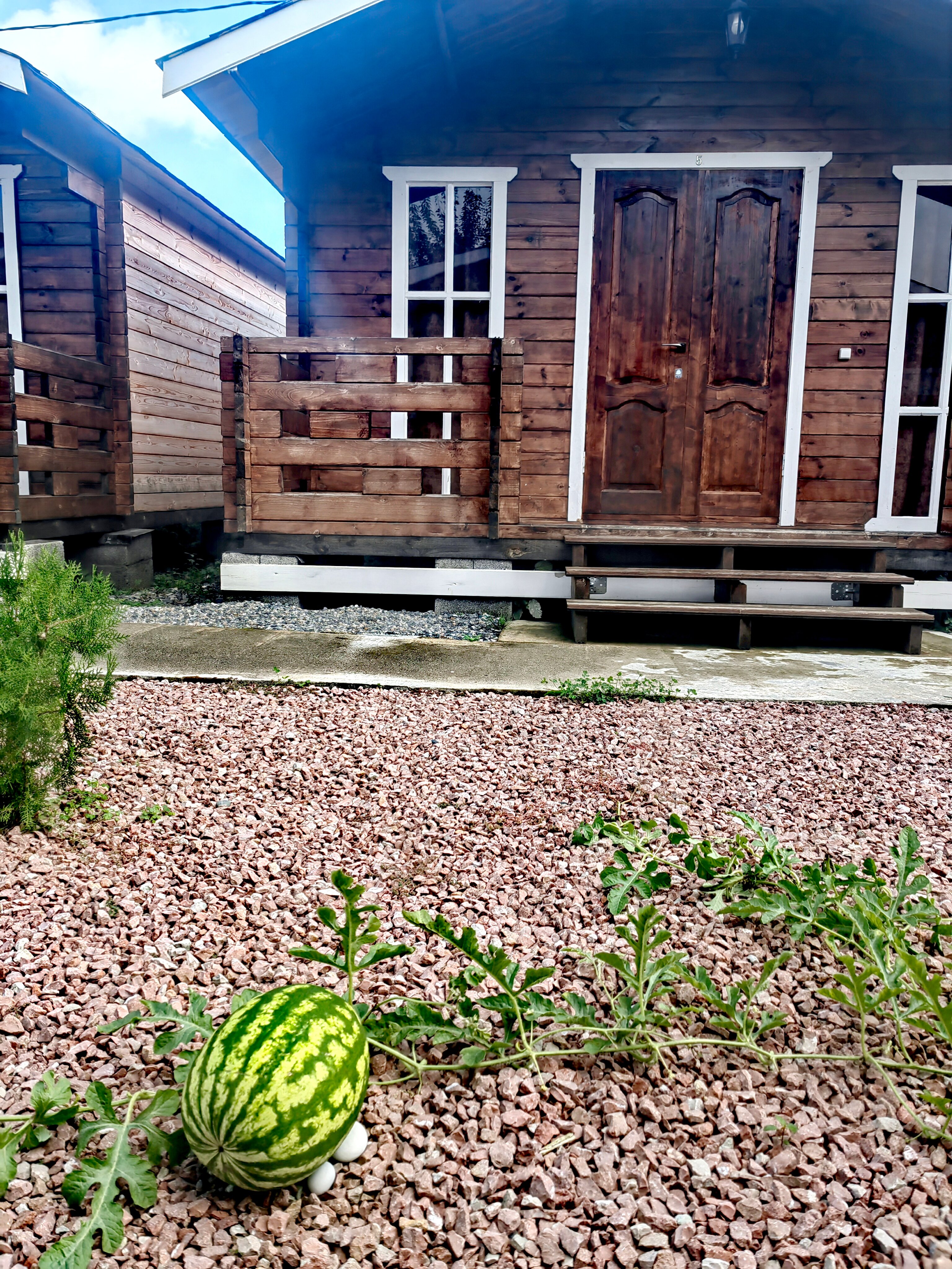 Фото Фазенда