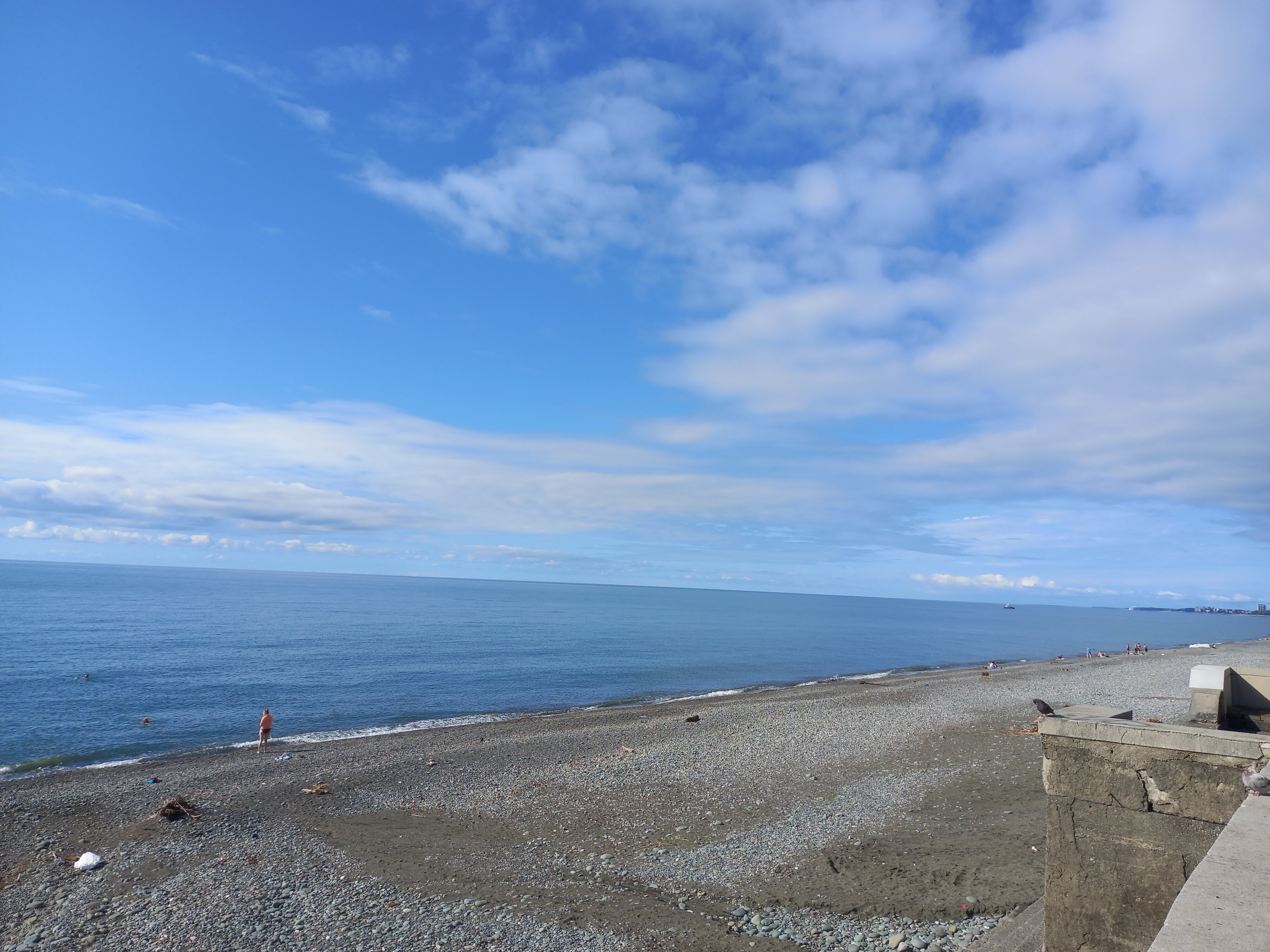 Фото Летний сад