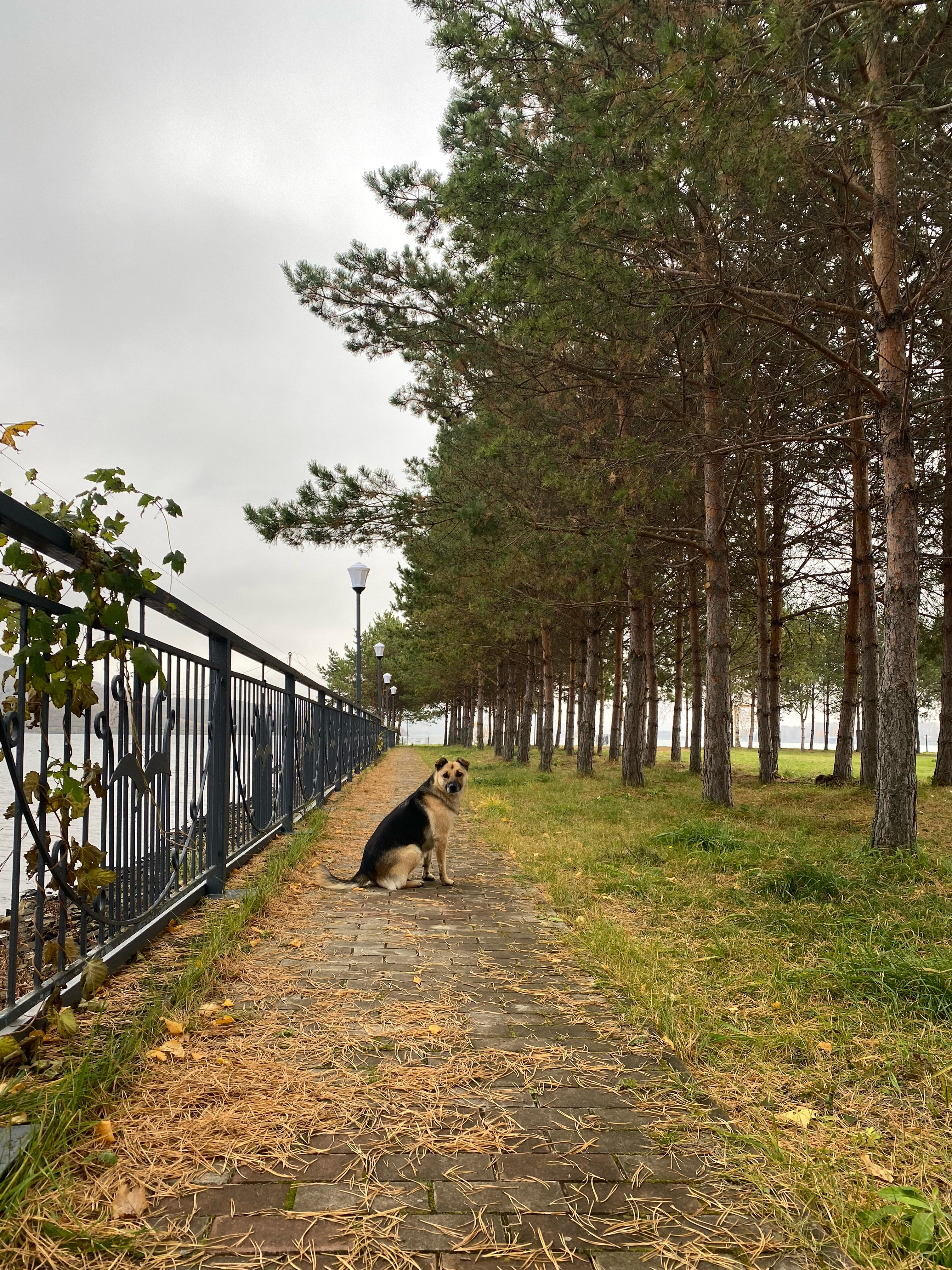 Фото Парк-отель Новая земля
