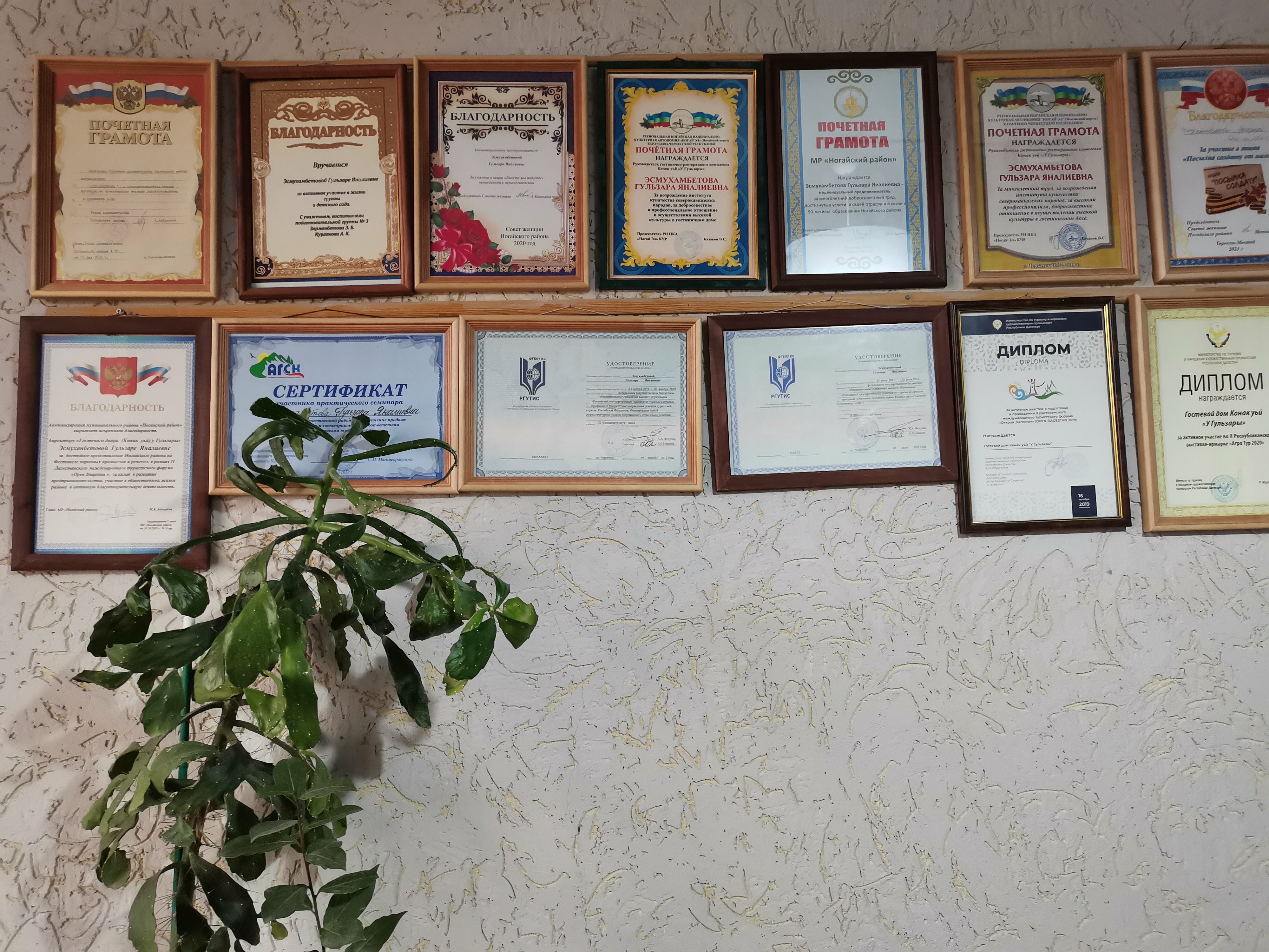 Фото У Гульзары