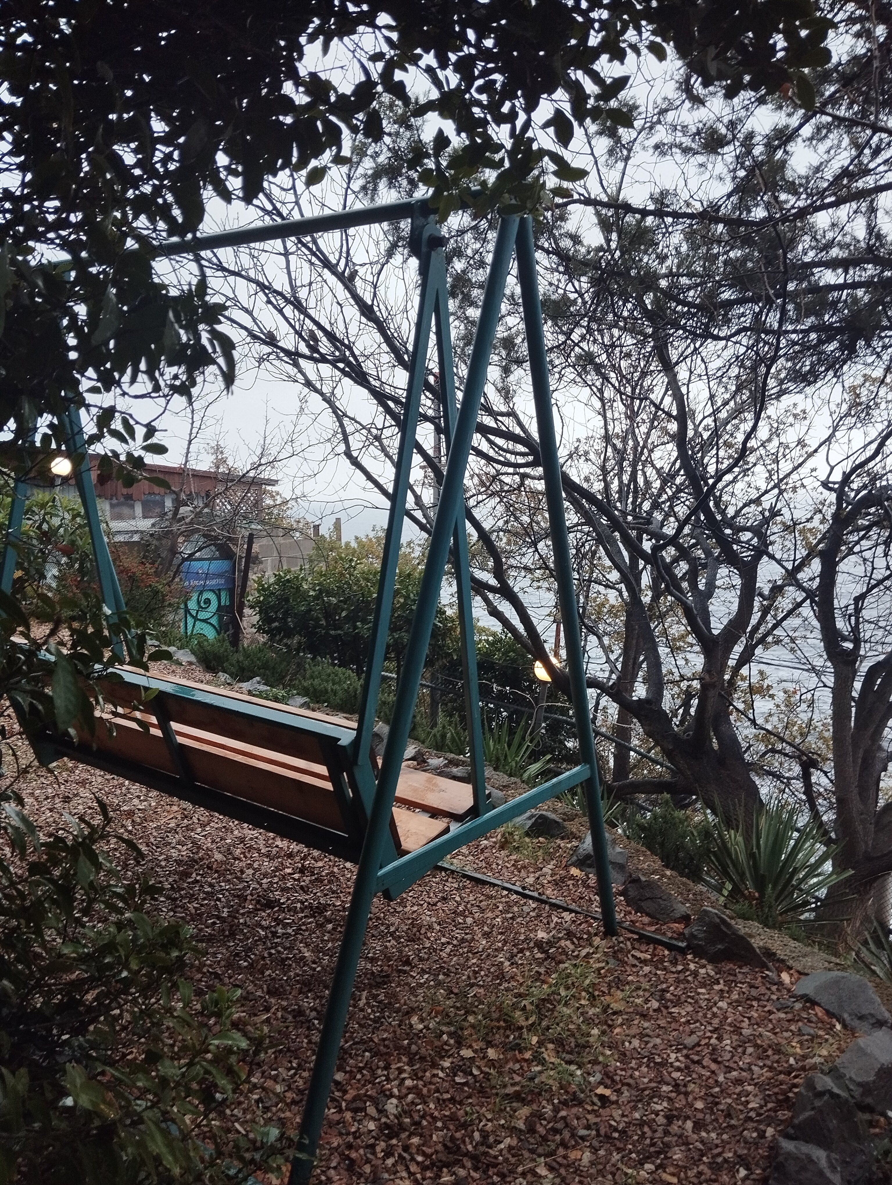 Фото Дача Фисташка