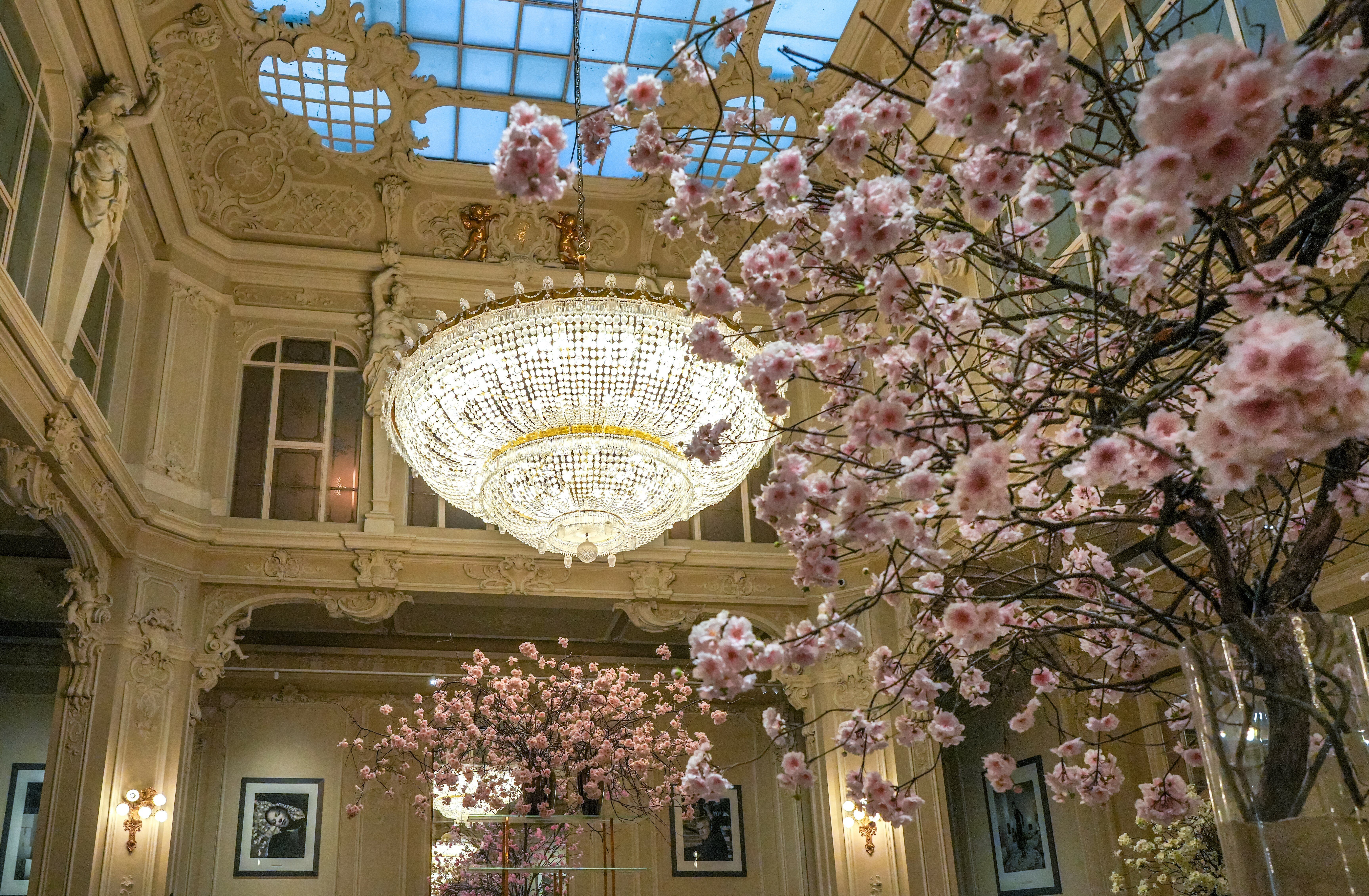 Фото Grandhotel Pupp