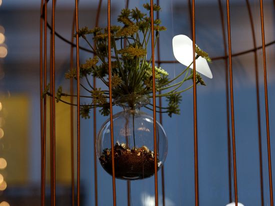 Фото Hôtel Elysées Paris