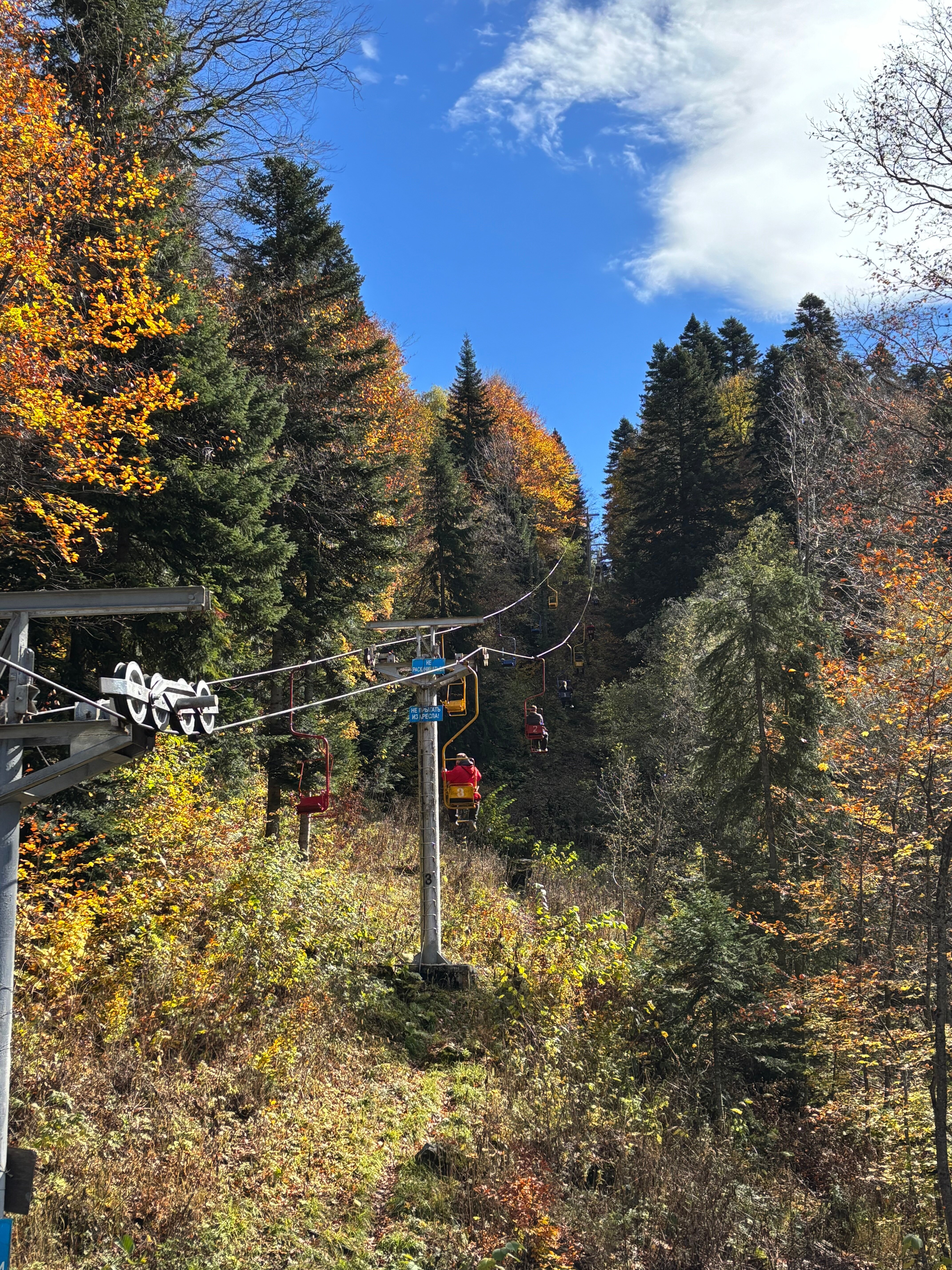 Фото Альпийский