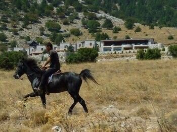 Фото Lefkoritis Resort