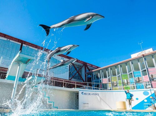 Гостиница Hotel Trend Numazu Ekimae в Нумадзу