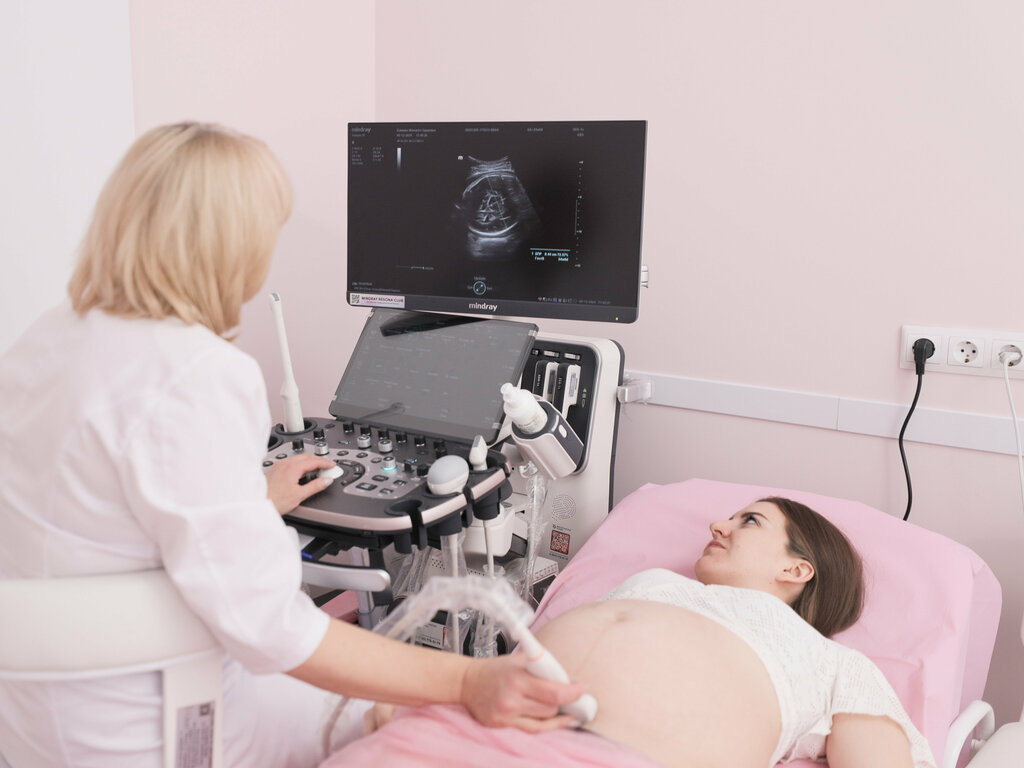 Jinekoloji kliniği Клиника женского здоровья, Samara, foto