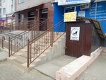 Koshka studio (pereulok Buynakskogo, 2з), sports club
