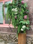 Подари ей цветы (ulitsa Dmitriya Tarakanova, 35), flower shop