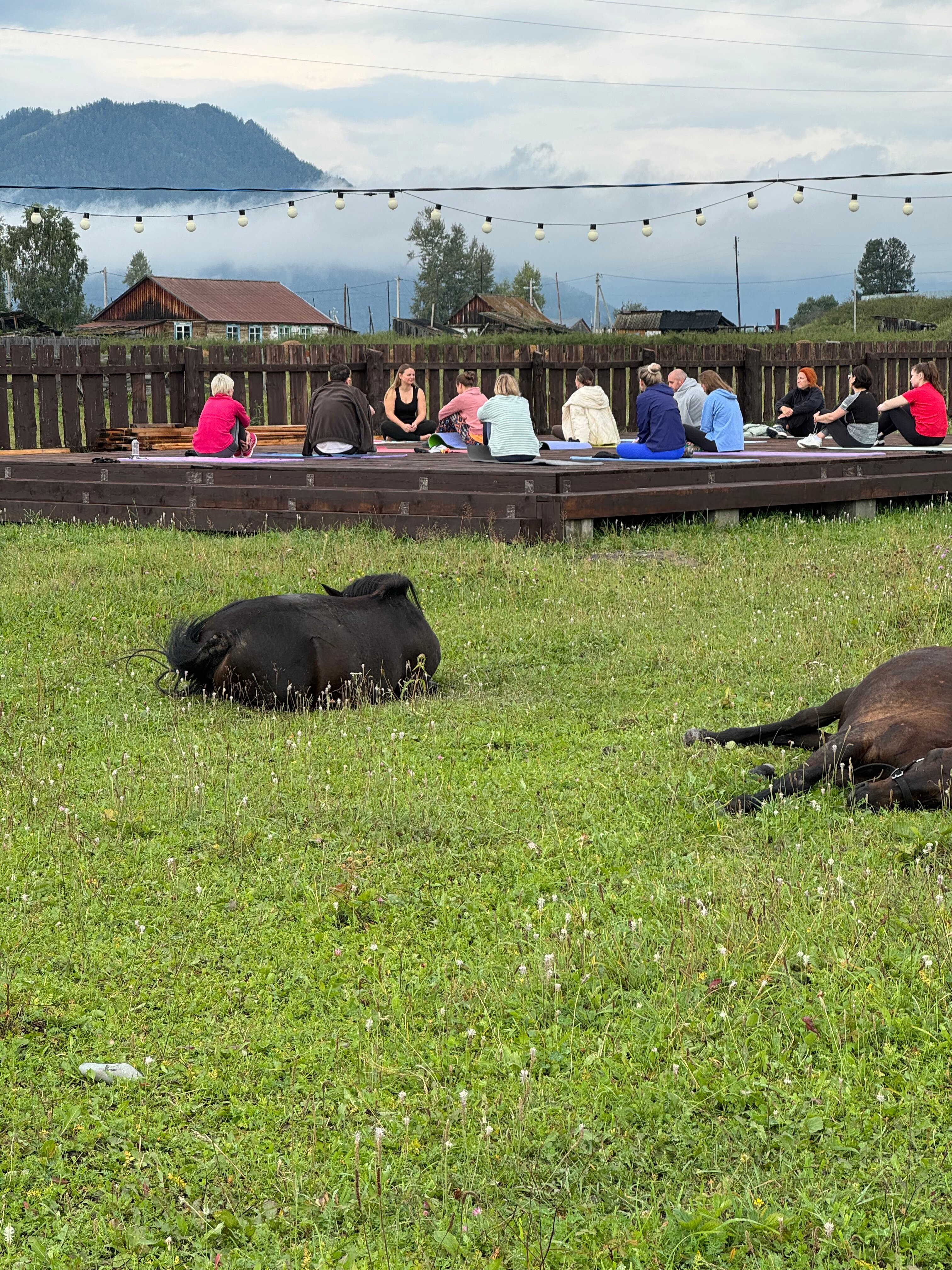 Фото Ёжкины дачи