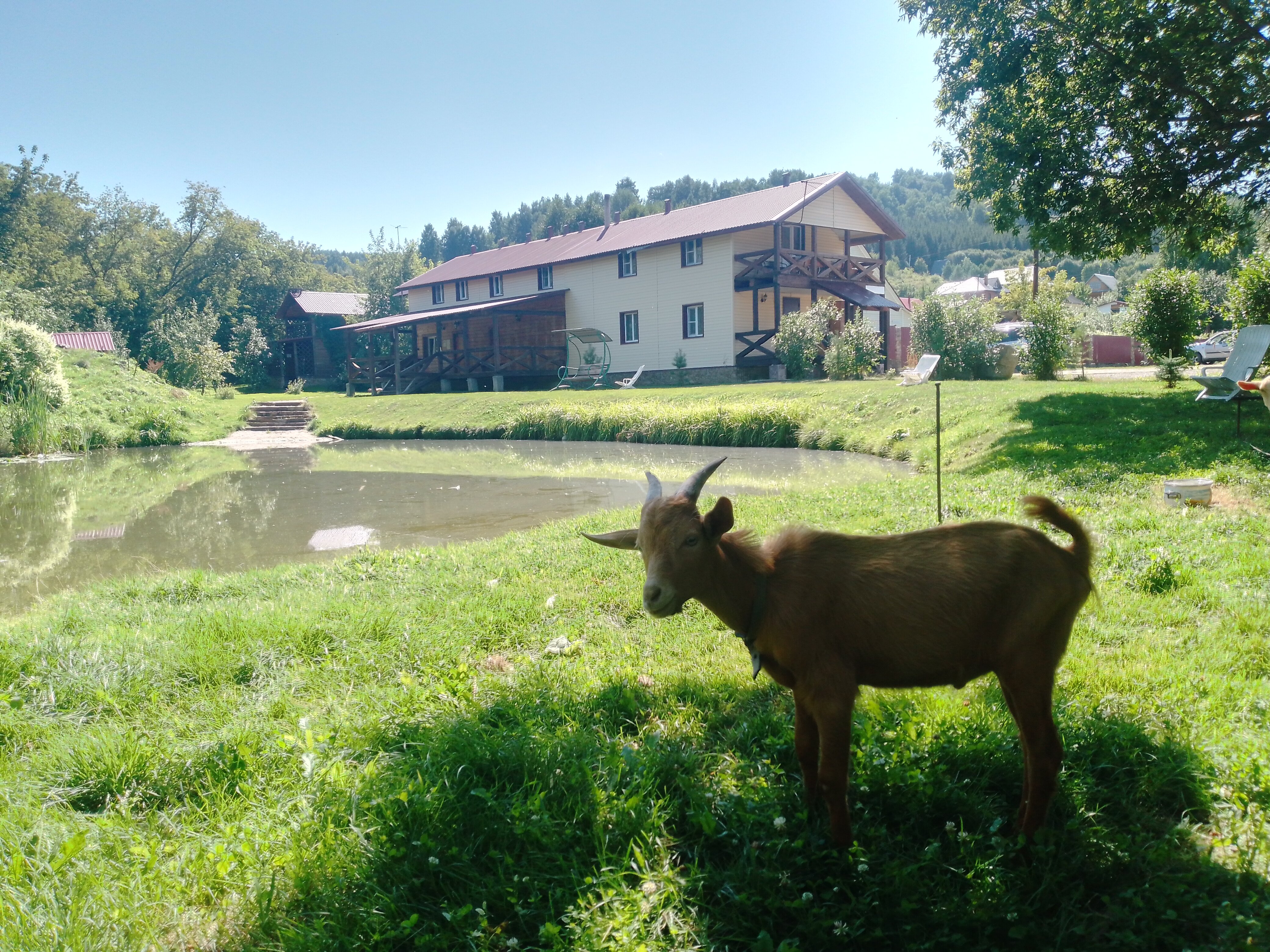 Фото отеля 3