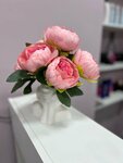 Brovolog (Gagarina Avenue, 13) ، شريط حاجب العين