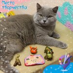 Место творчества (Metallurgov Avenue, 56) ، دورات ودروس الماجستير