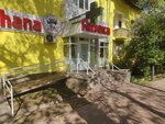 Rauza-Ade (Manas Street, 63), pharmacy