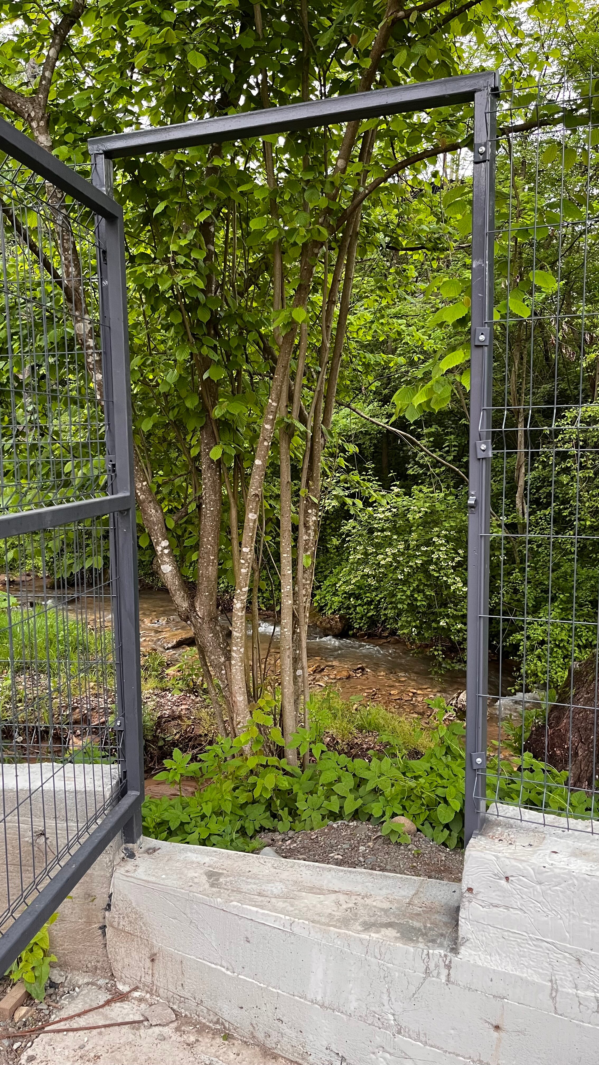 Фото Лес и Горы