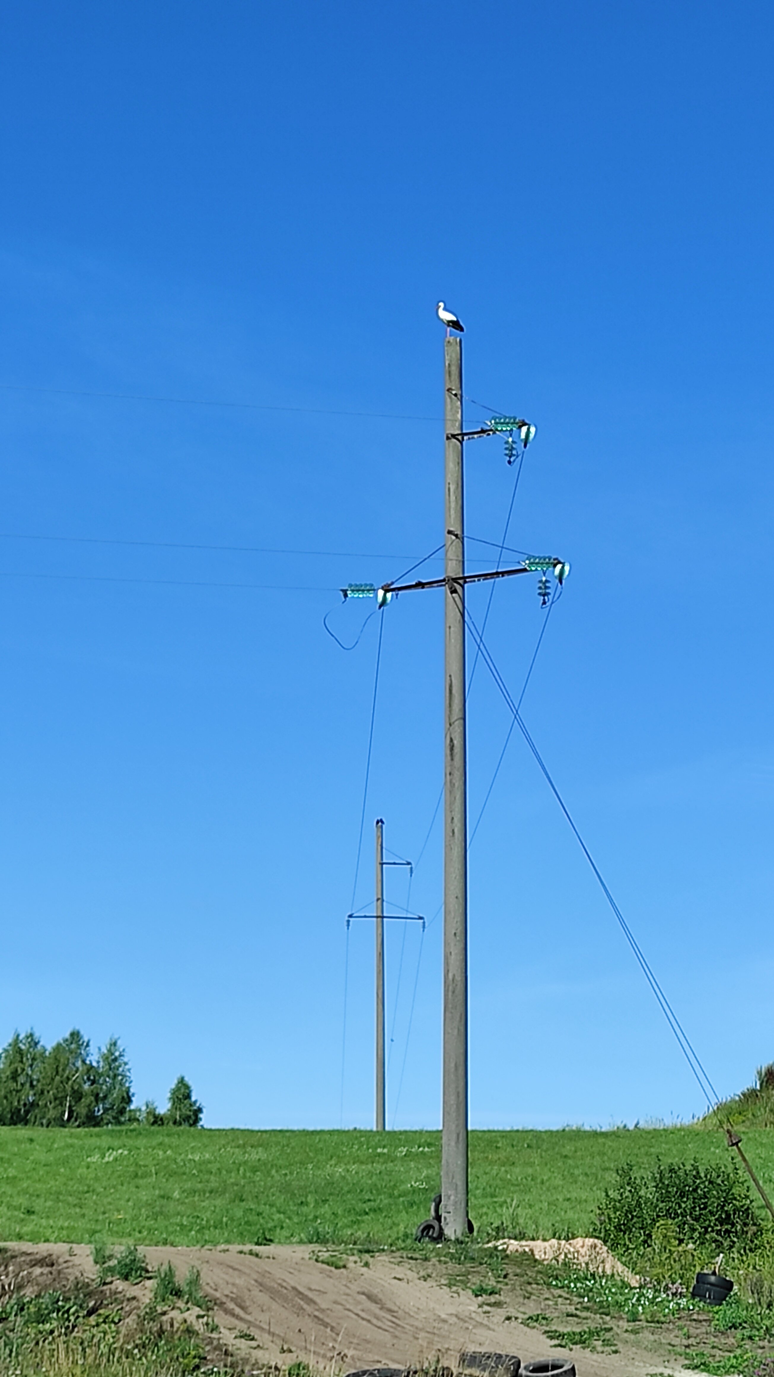 Фото Березовый хутор