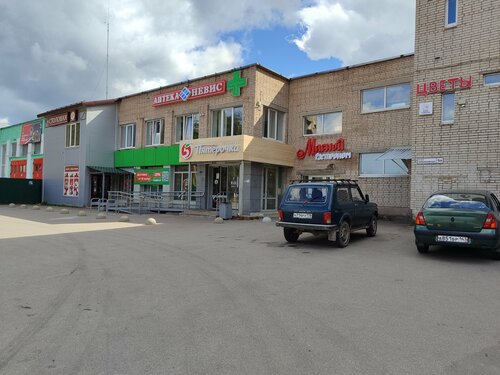 Гостиница Юбилейная в Паше