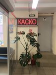 Страховой агент (Kollontay Street, 30к1), seguro de automóvil