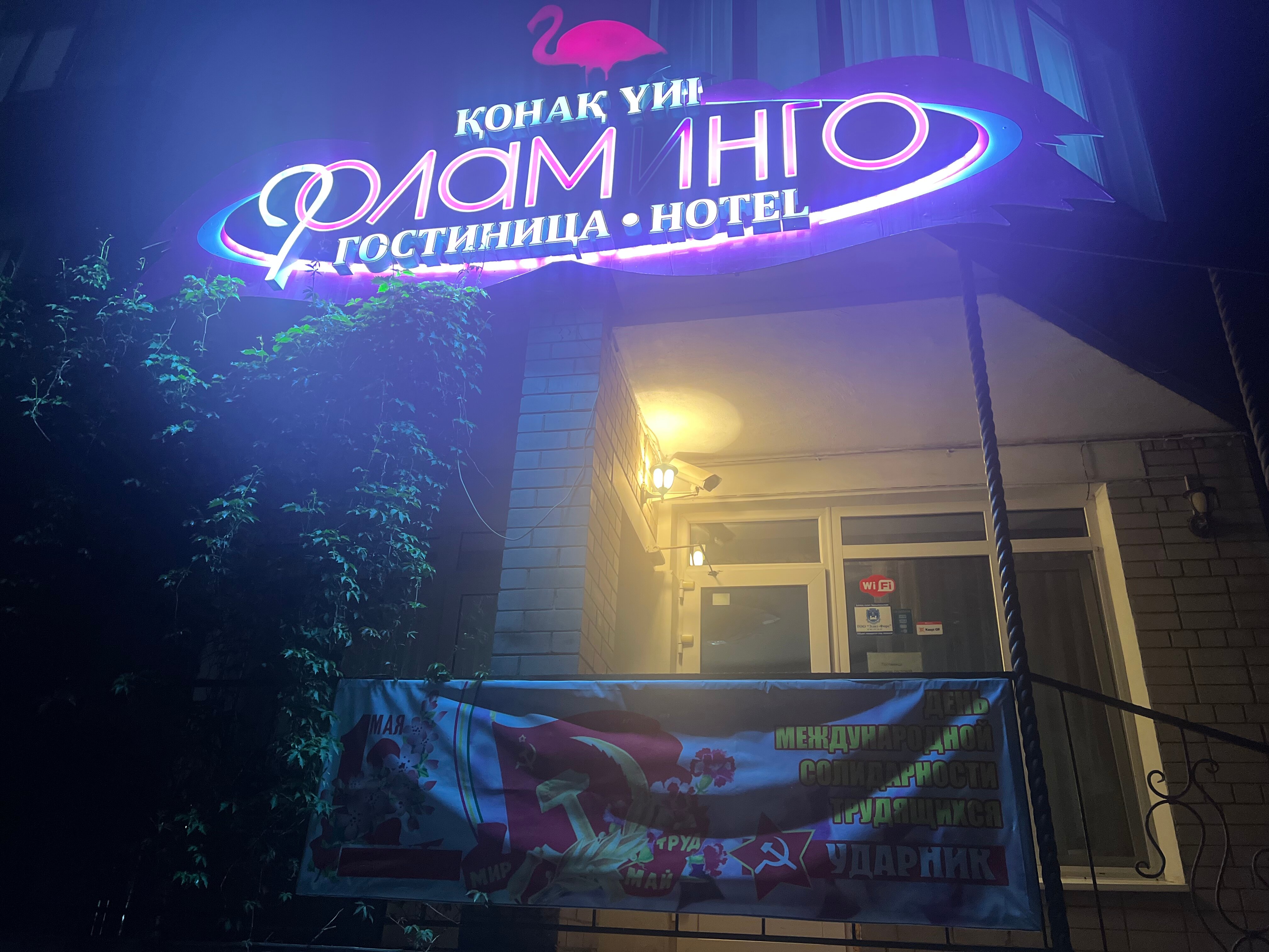 Фото Фламинго Отель