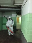 Городской центр дезинфекции СЭС групп (Moscow, Mruzovsky Lane, 11с1), disinfection, disinsection, deratization