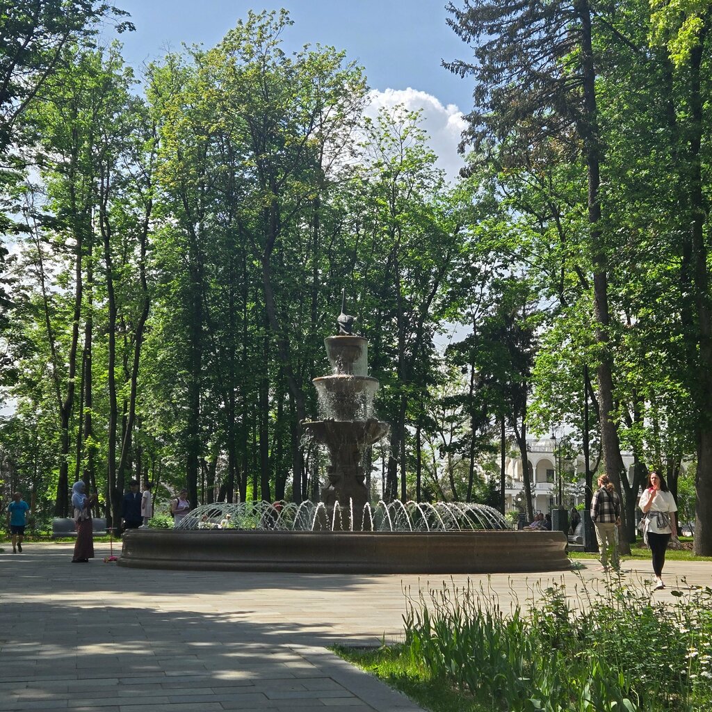 Favvora Северная чаша, , foto