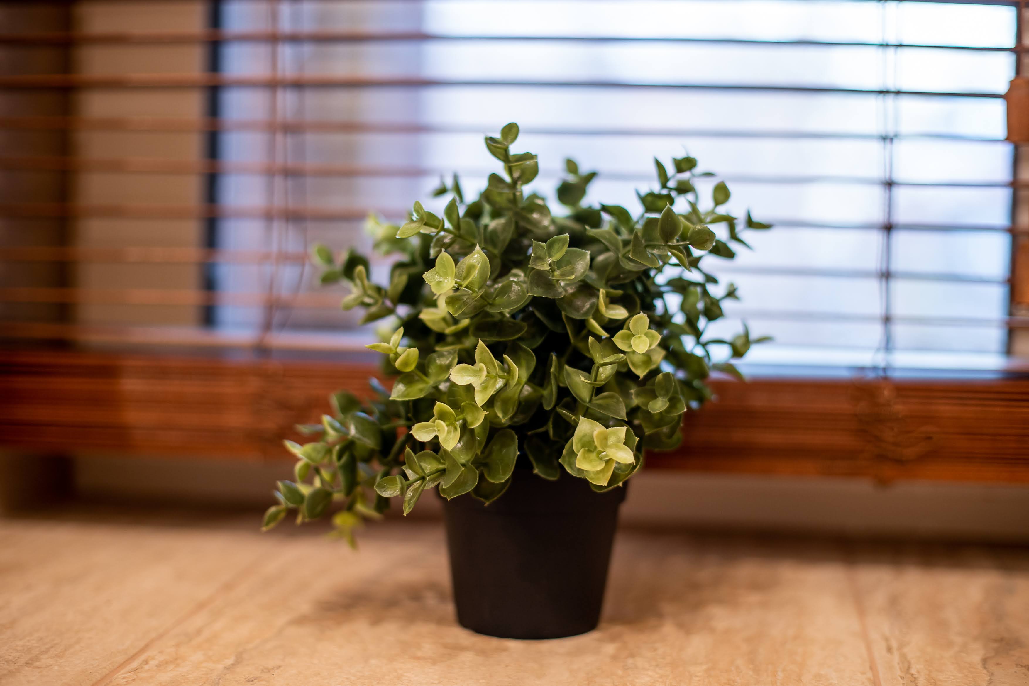 Фото Дом Веансо 4