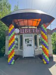 Цветландия (Tchaikovskogo Avenue, 16А), flower shop
