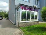 Wildberries (Popova Street, 158) ، نقطة تسليم