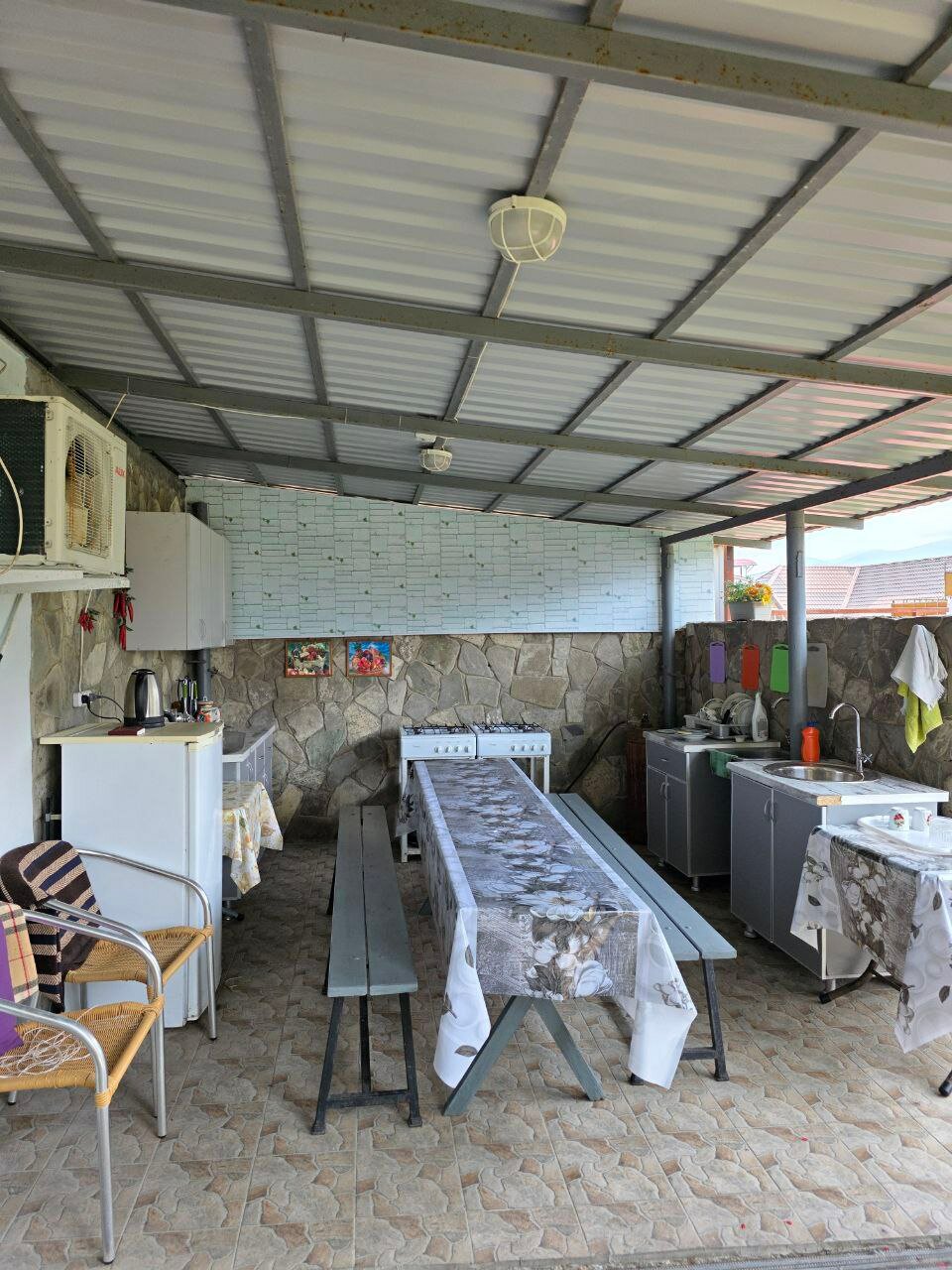 Фото Абрикос