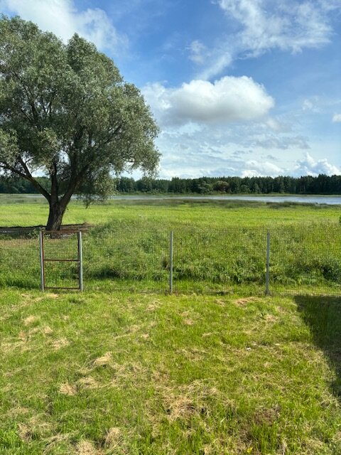 Фото Левый берег