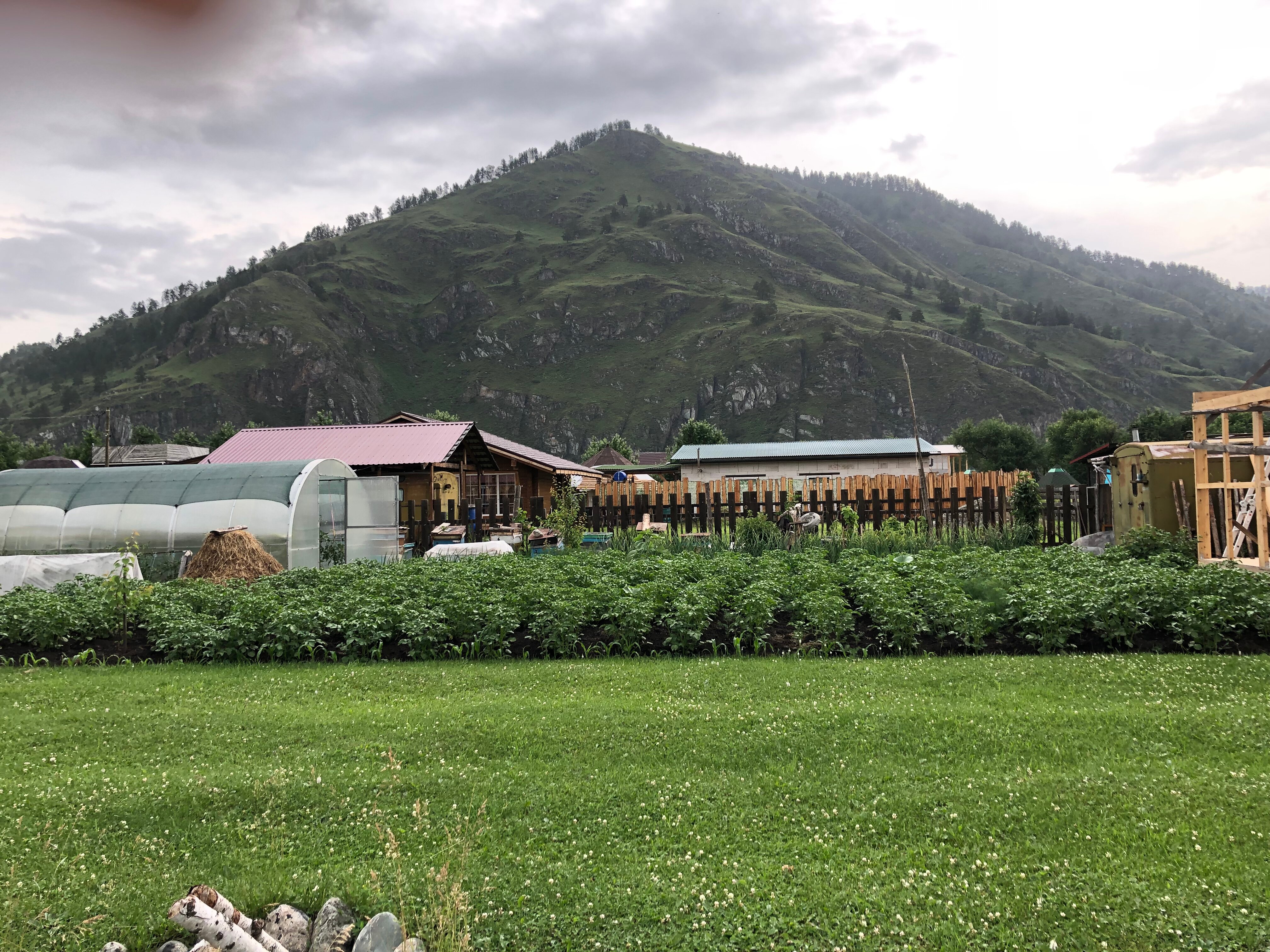 Фото У дяди Алекса