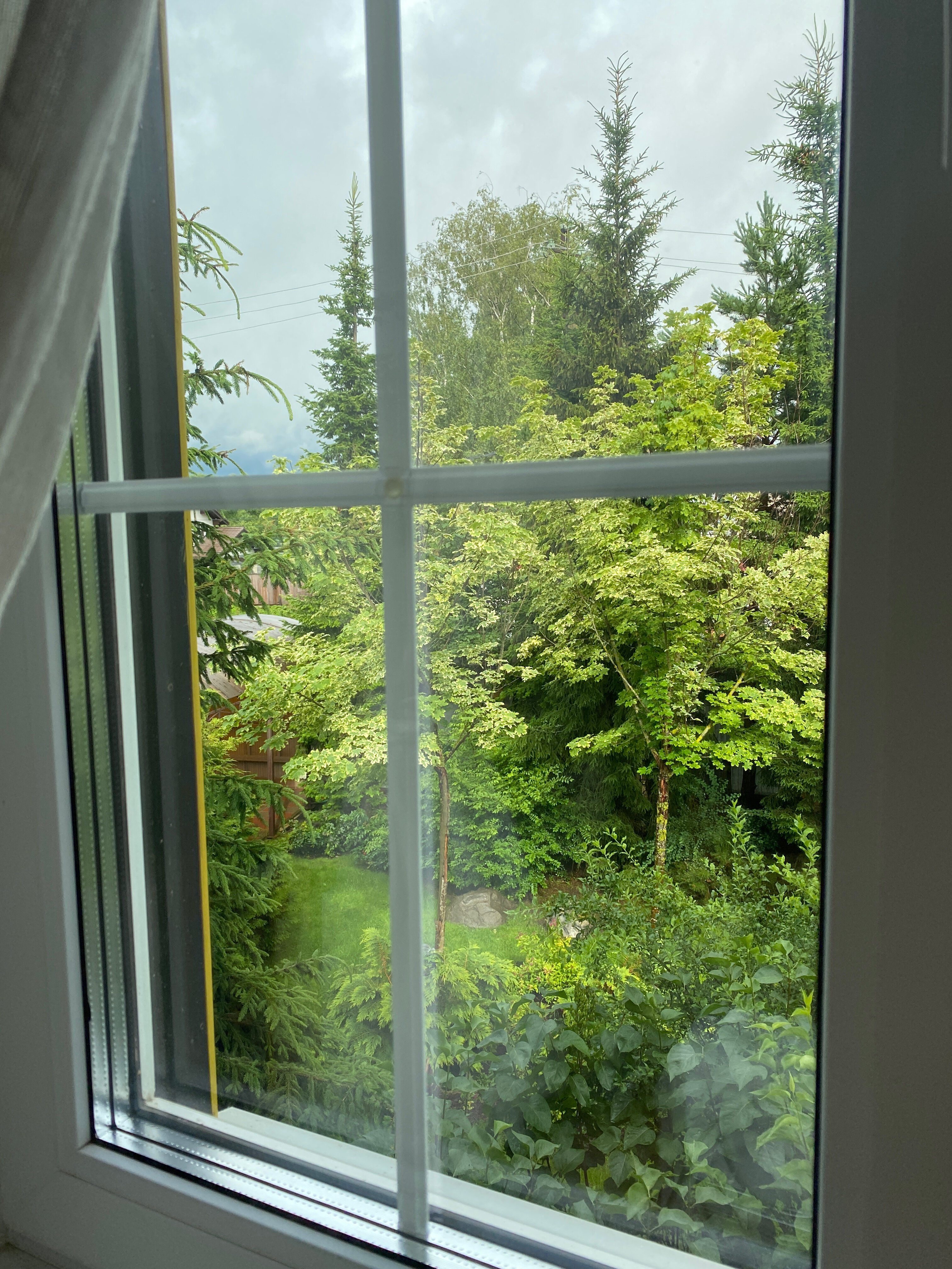 Фото Залесская дача