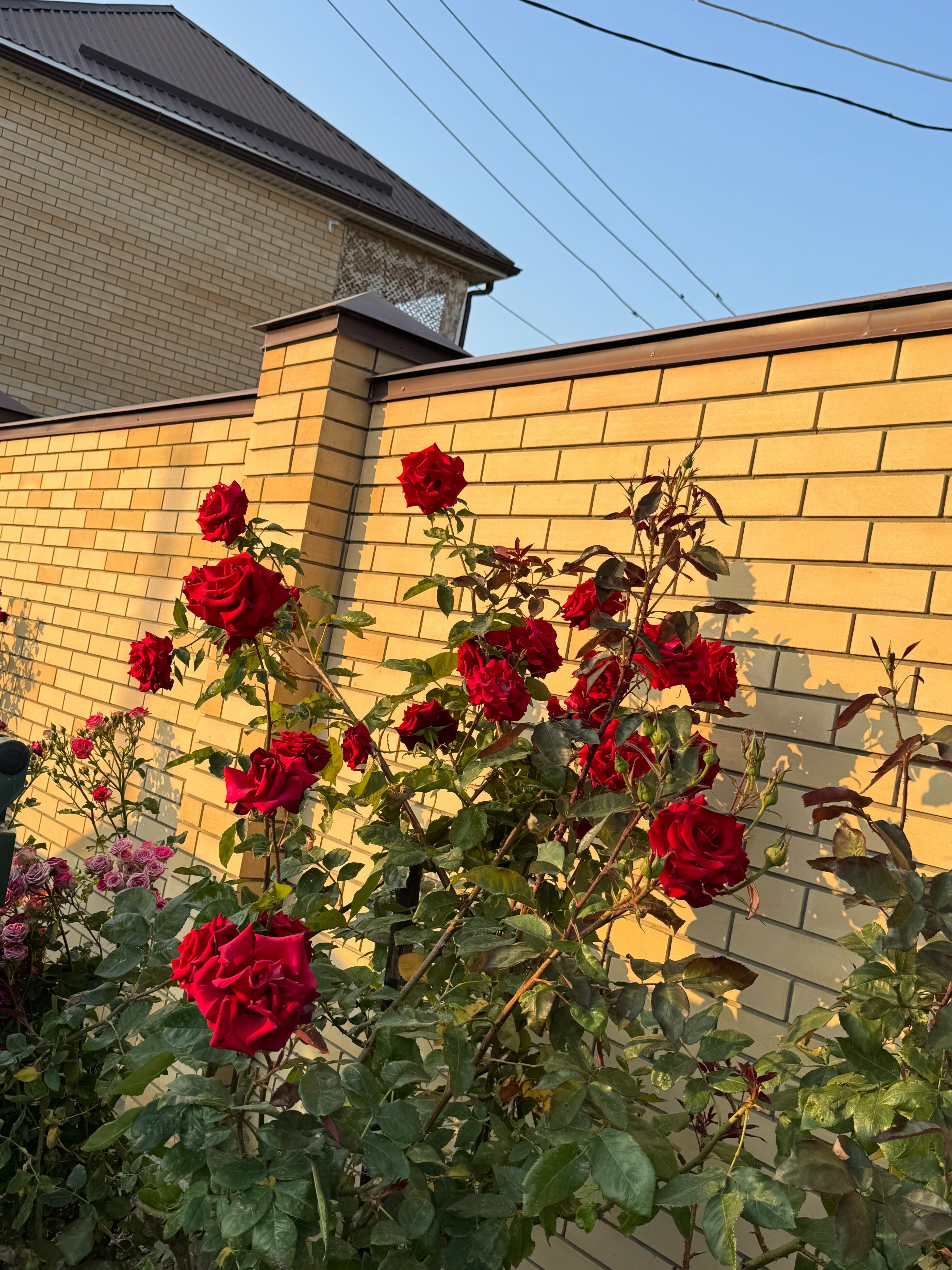 Фото Маленькая Гагра