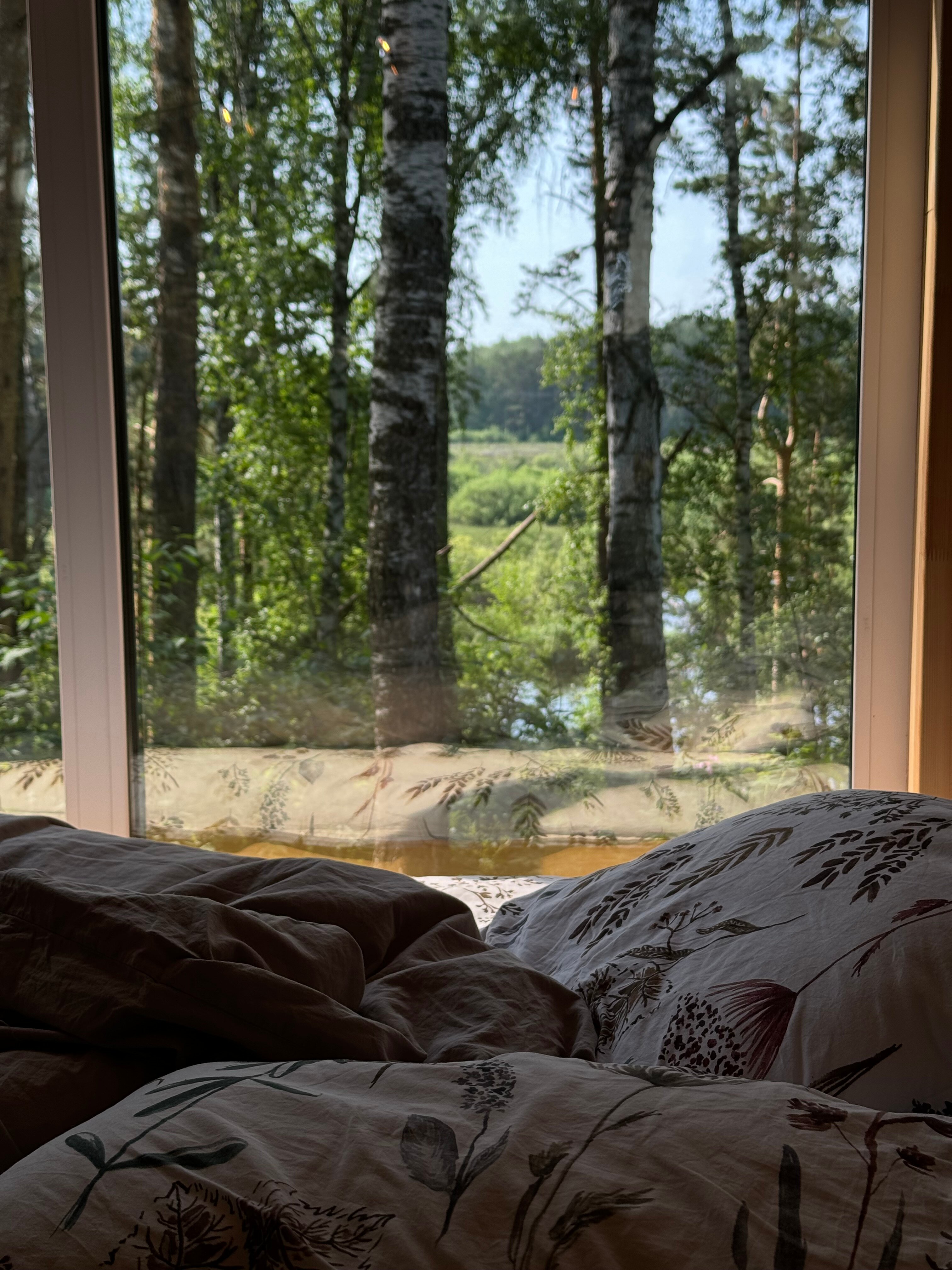 Фото Lipki House