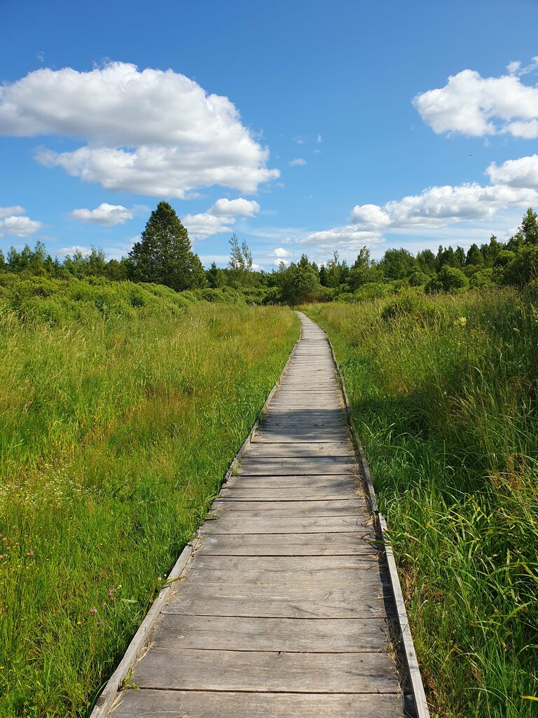 Достопримечательность Экотропа Озеравки-Ельня, Витебская область, фото