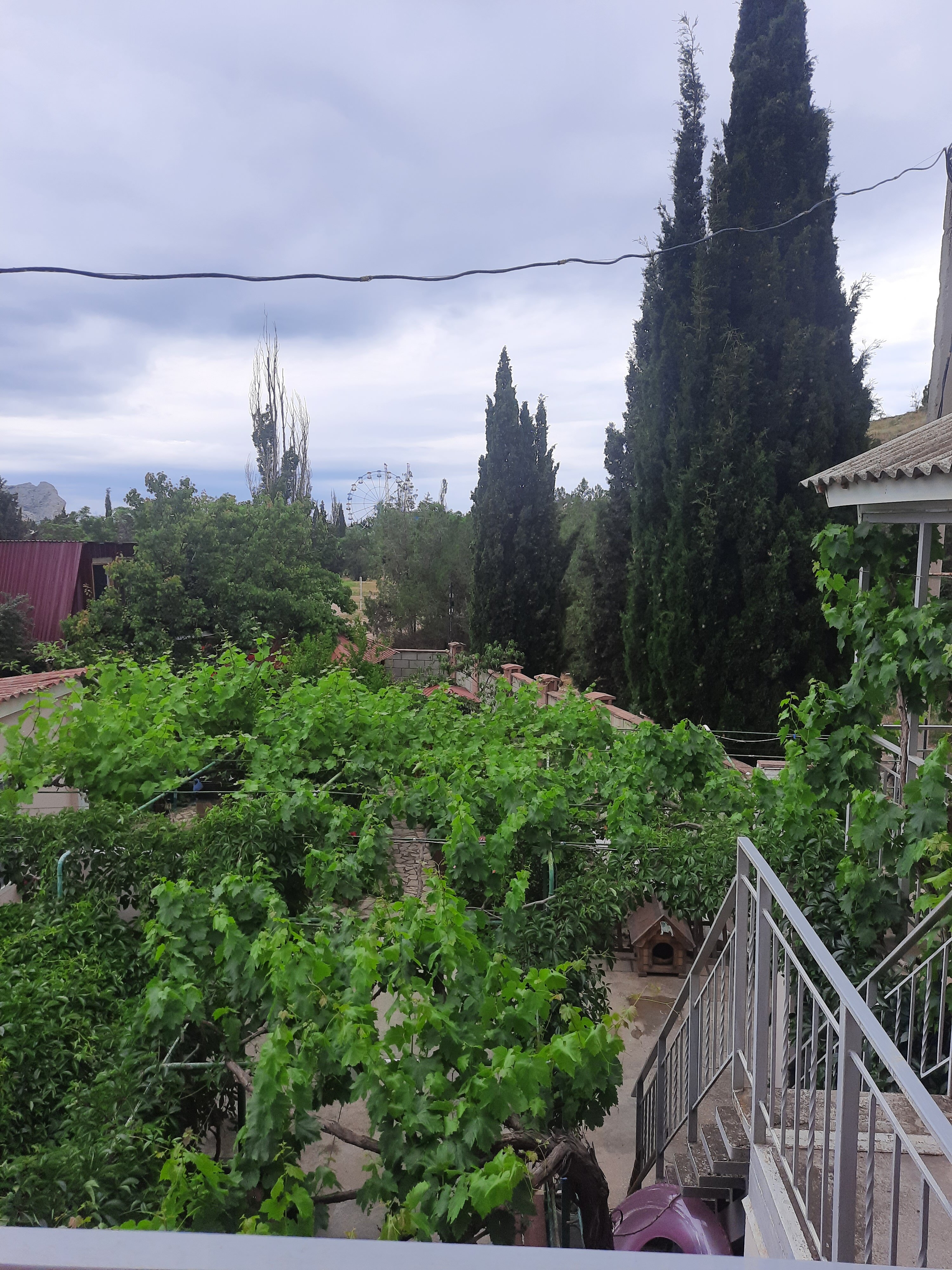 Фото Зелёный дворик