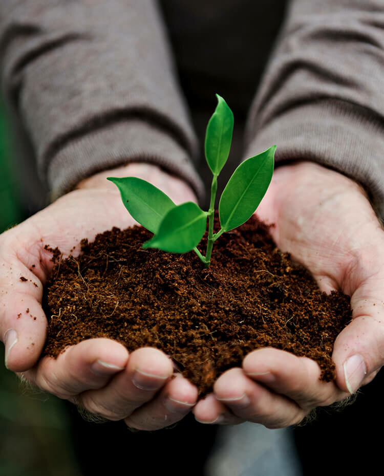 Agricultural machinery, equipment Agritek, Abu Dhabi, photo