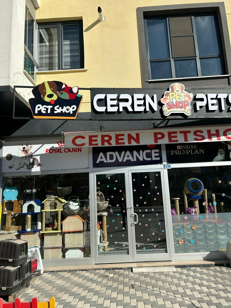 Pet shop Ceren Petshop, Konya, photo