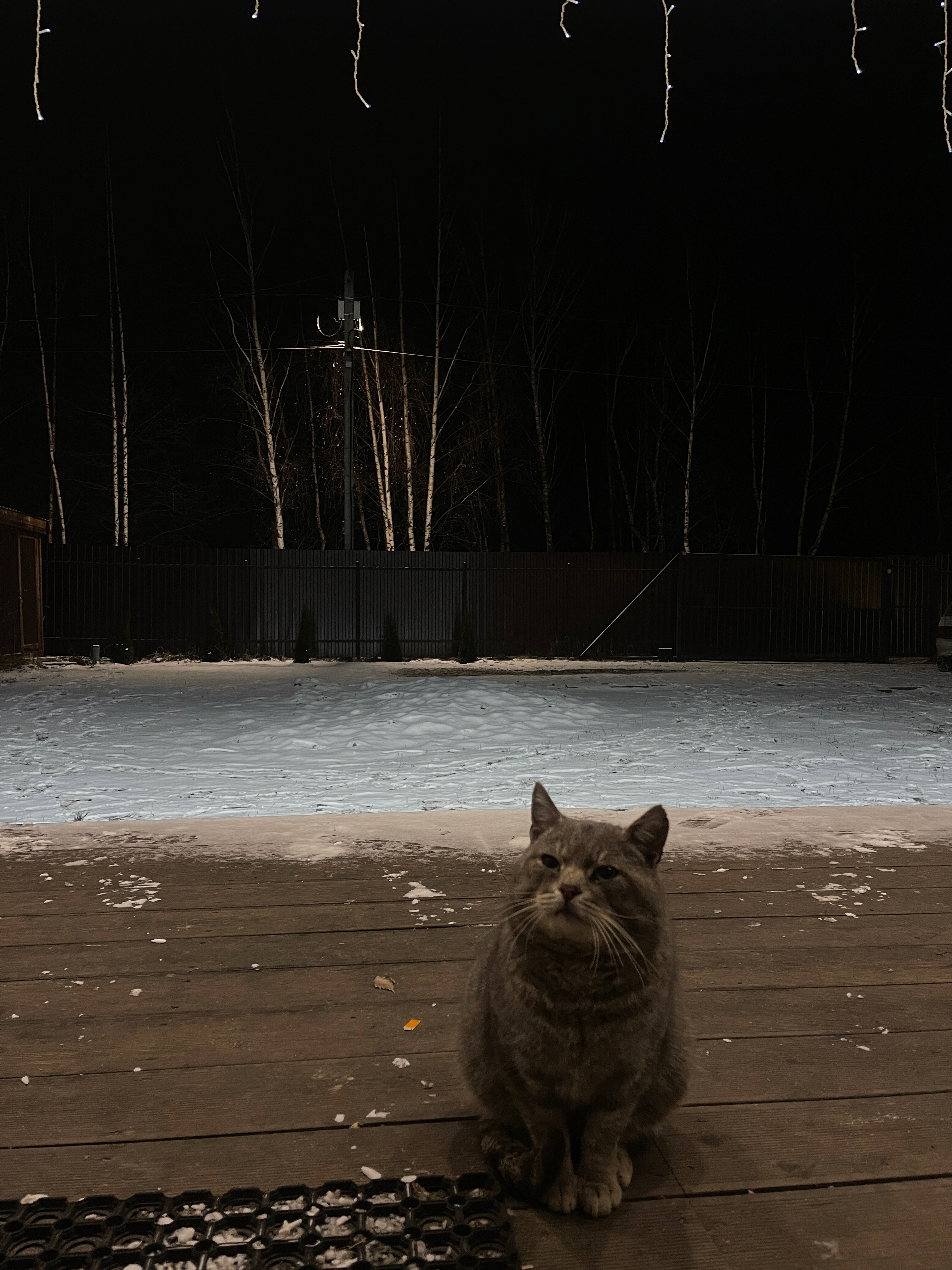 Фото Relax Villas Villa